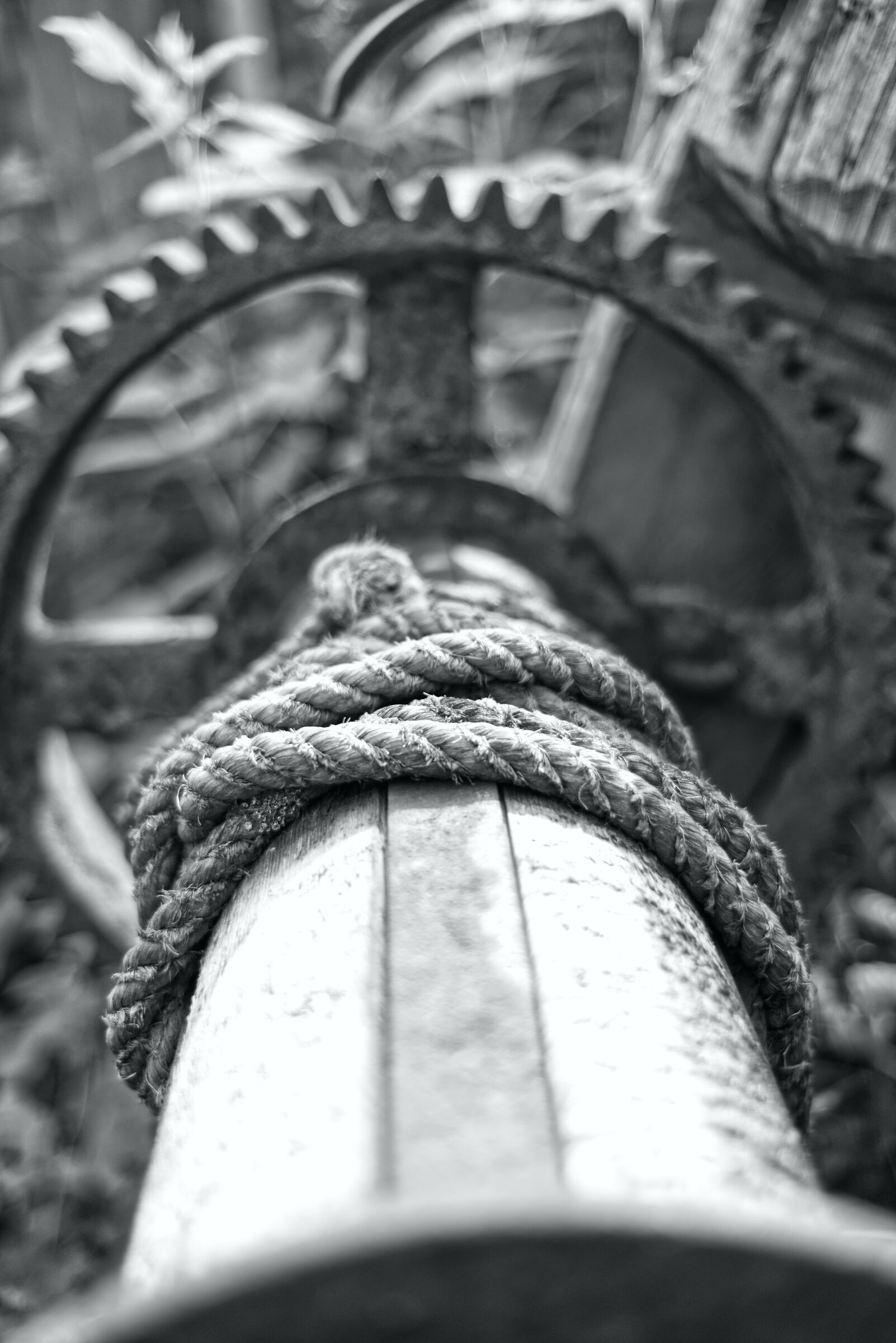 Rope