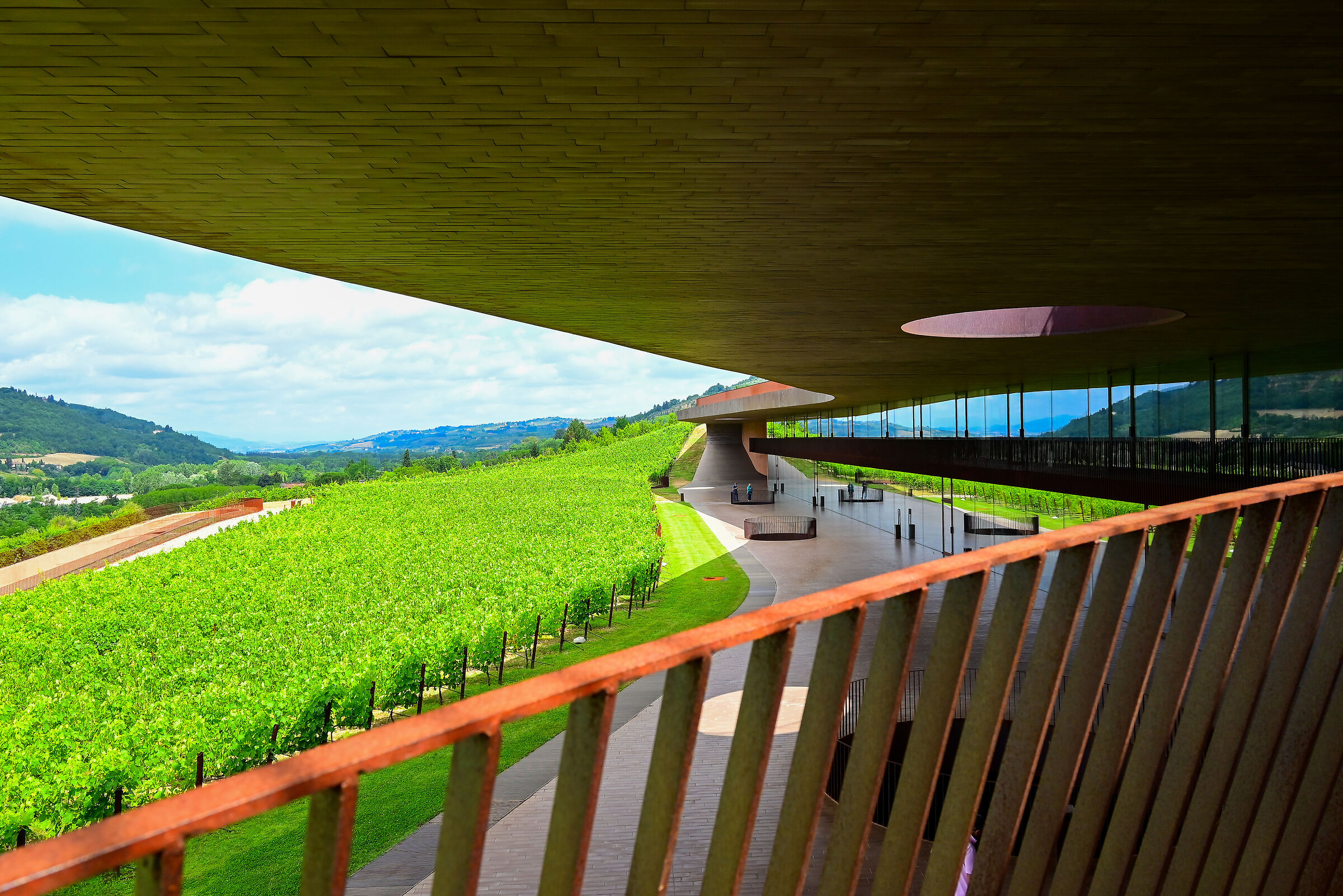 Antinori nel Chianti Classico