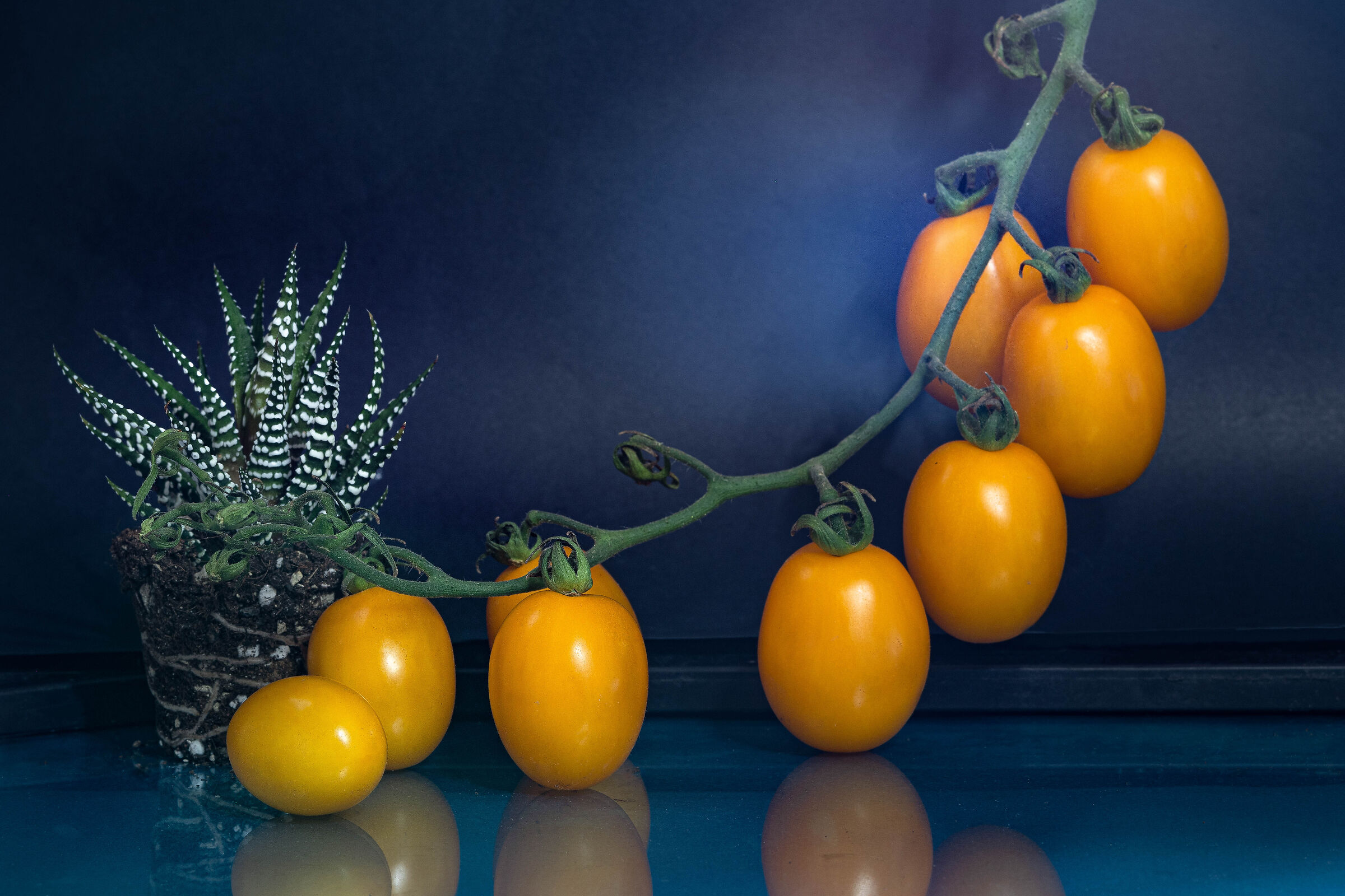 Amazing tomato