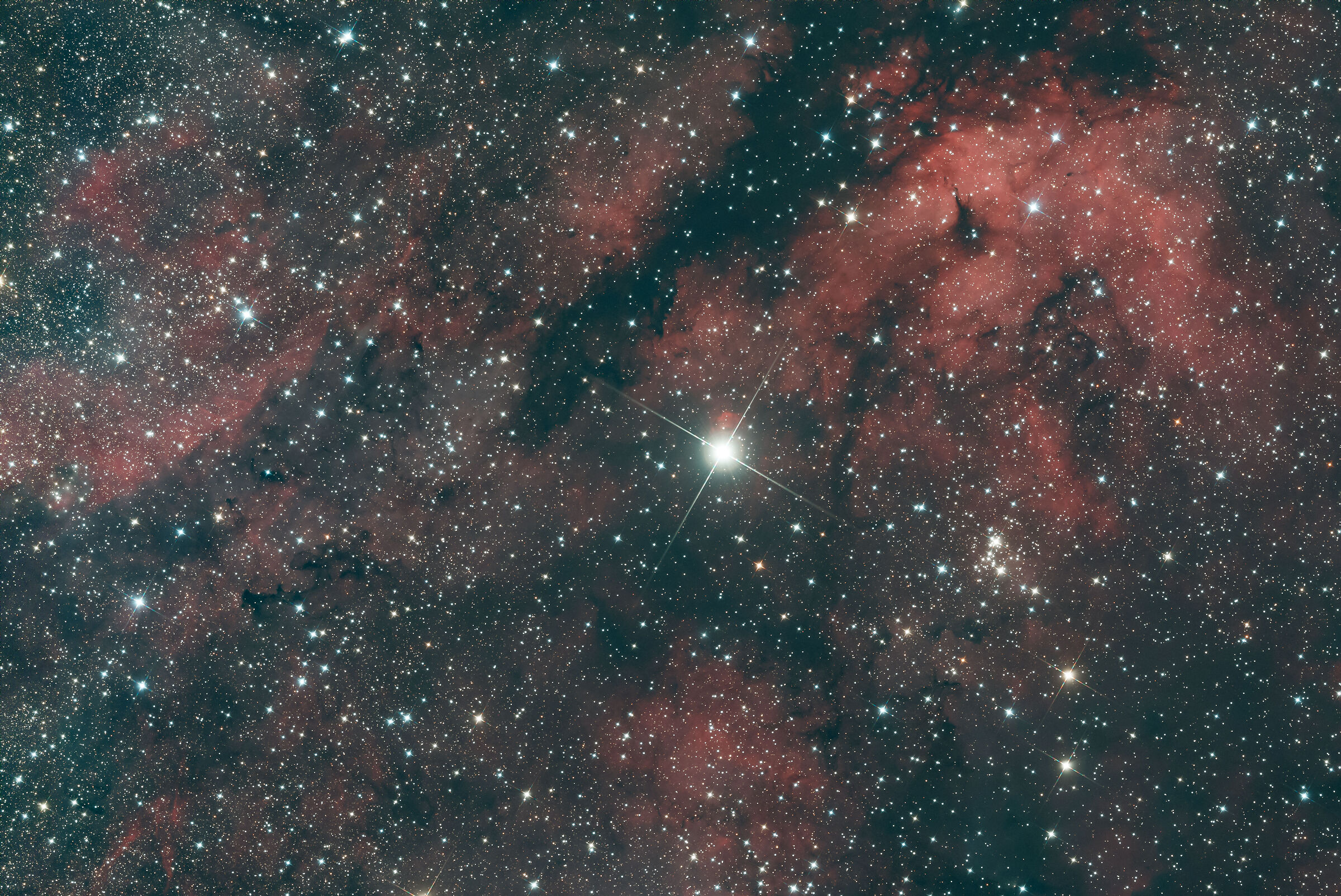ic1318 nel Cigno