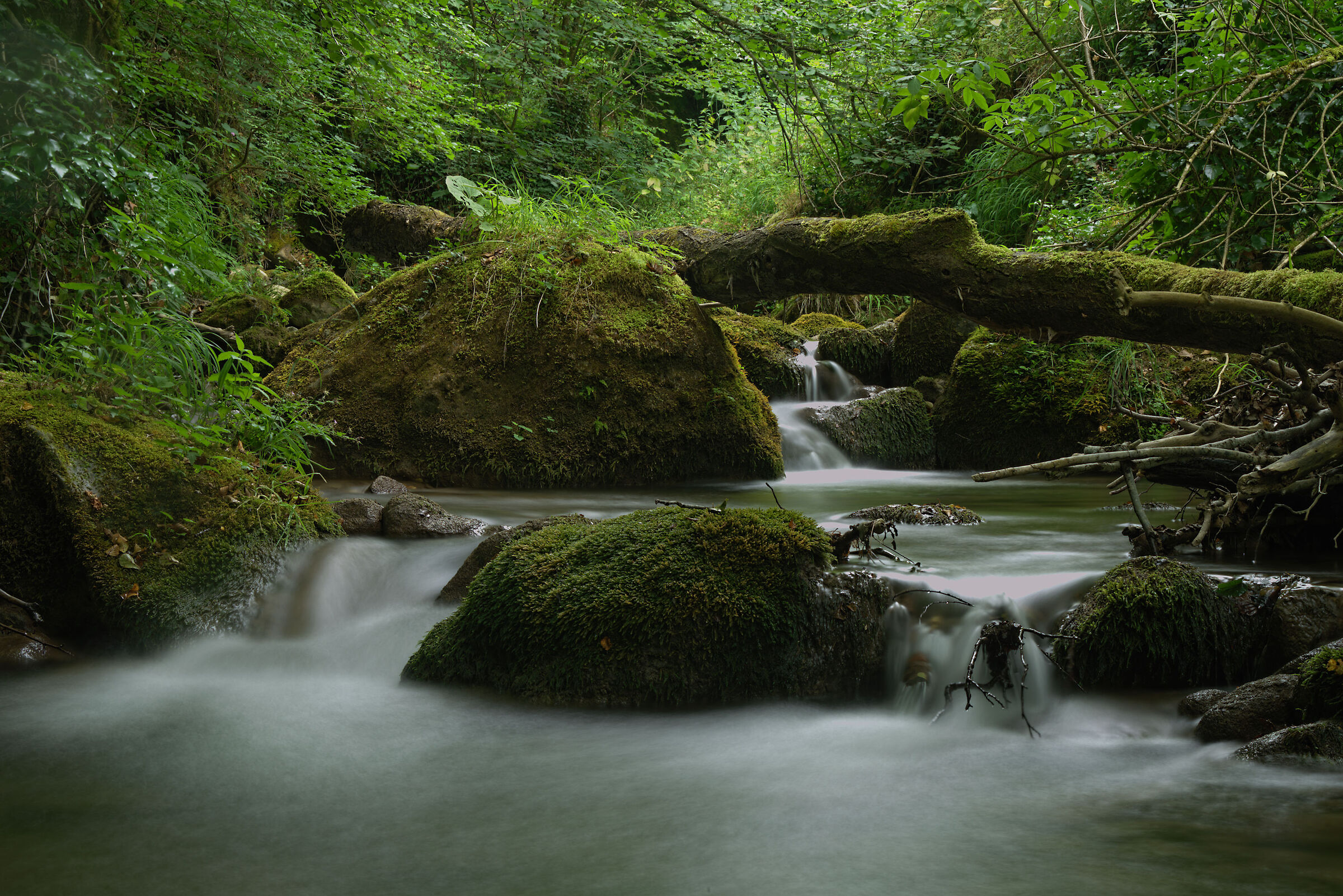 Torrent in Montegallo (Sibillini mountains)