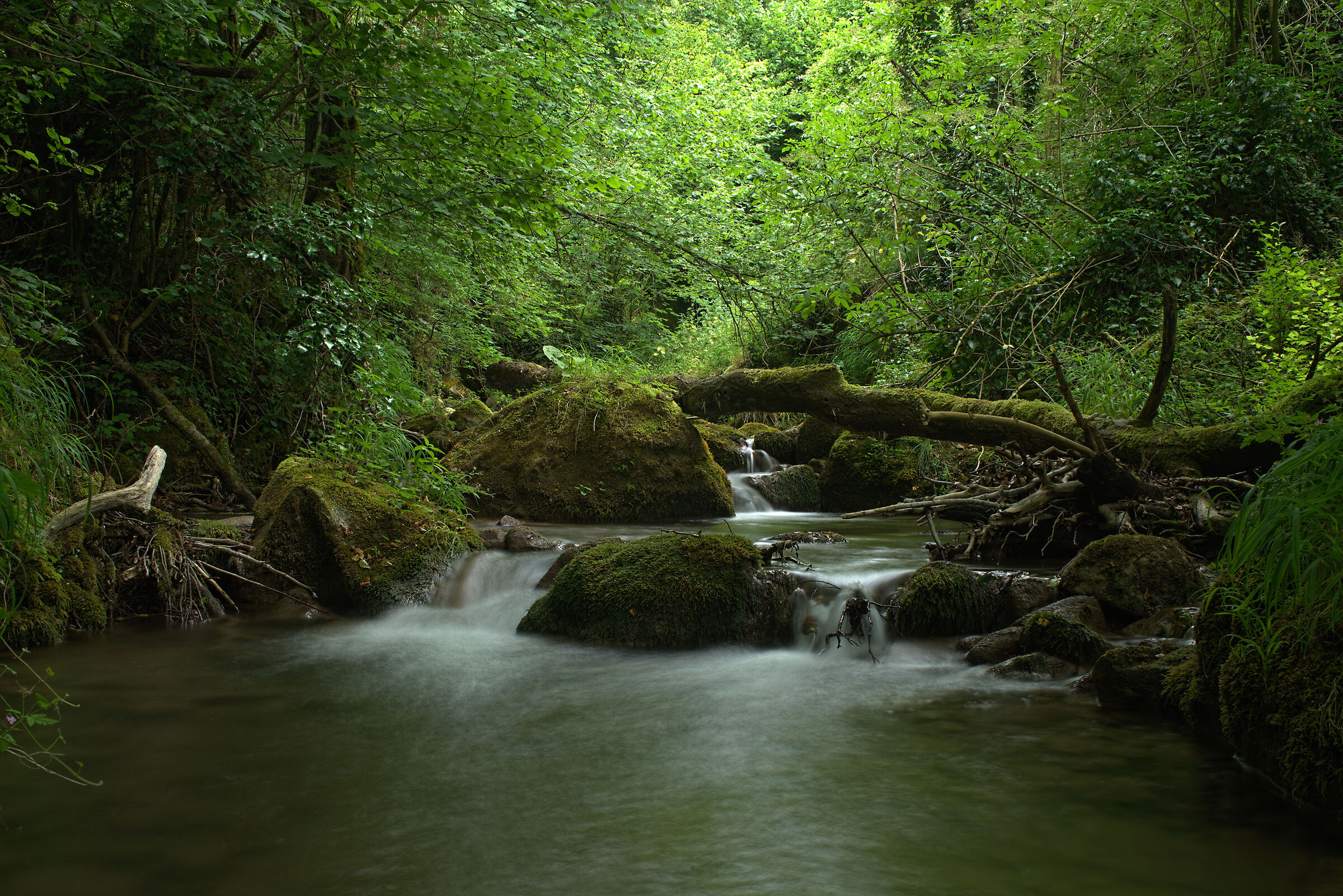 Torrent in Montegallo (Sibillini mountains)