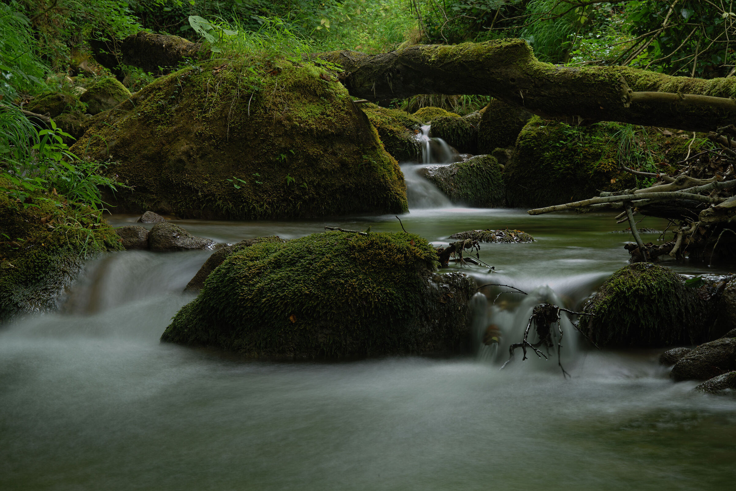 Torrente a Montegallo (monti Sibillini)