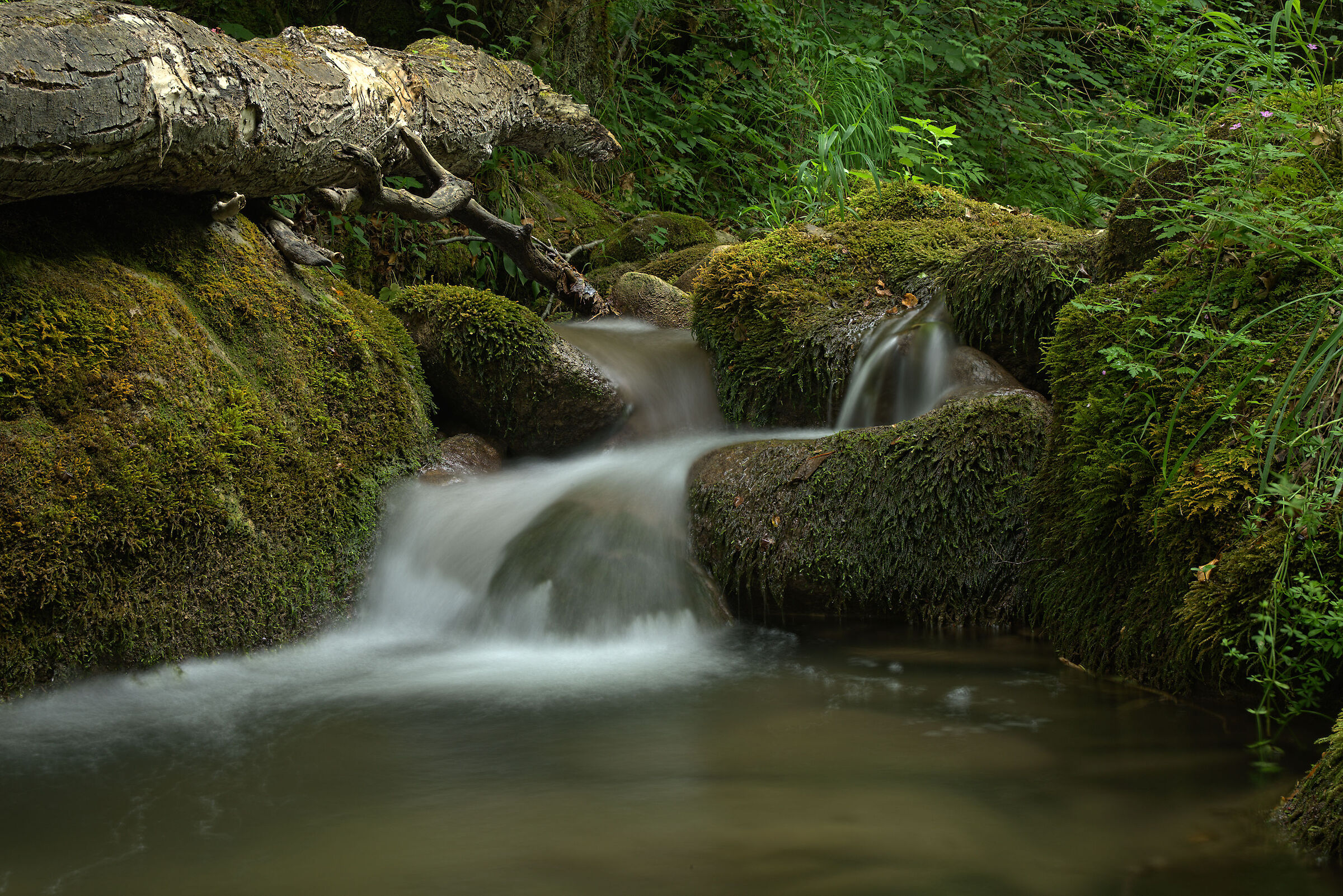 Torrent in Montegallo (Sibillini mountains)