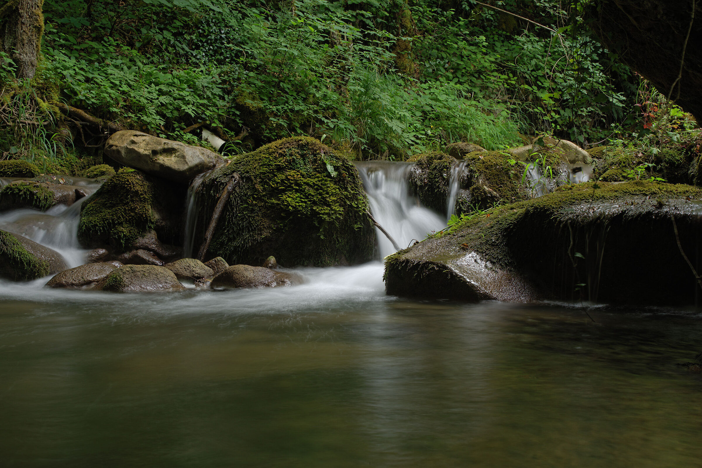 Torrente a Montegallo (monti Sibillini)
