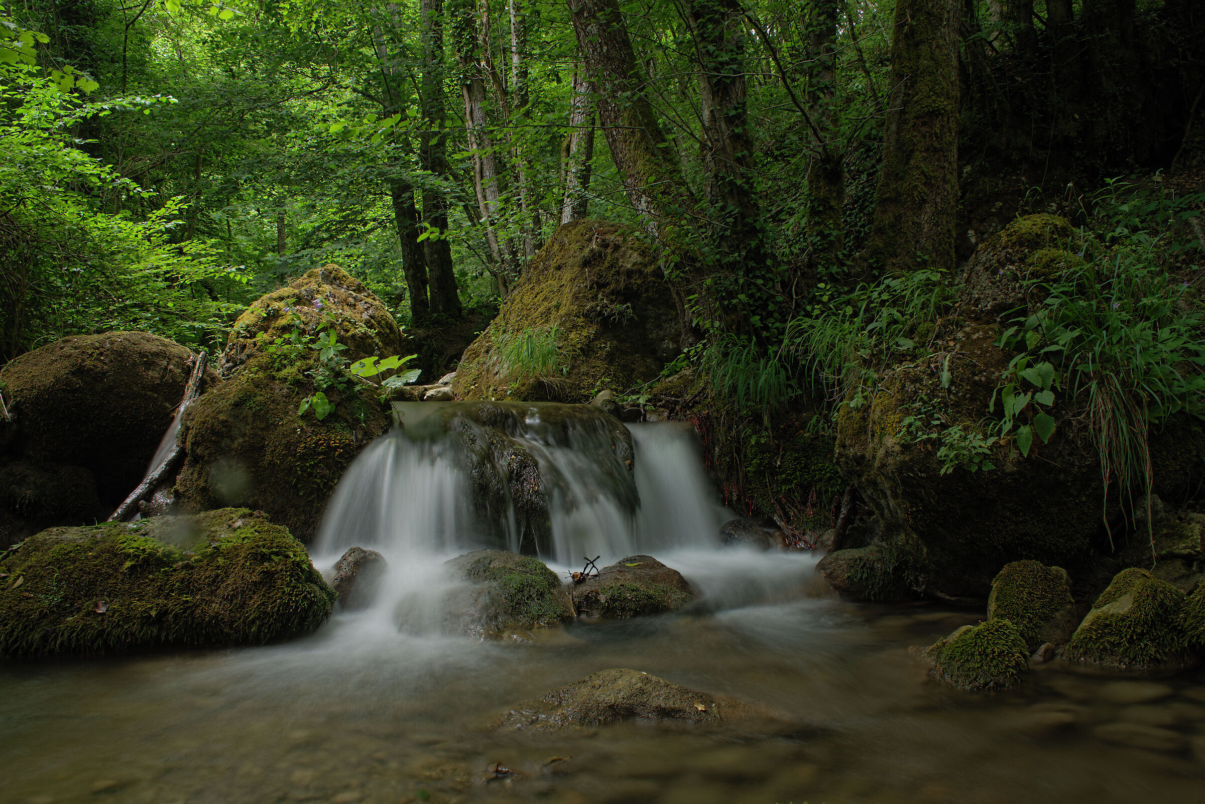 Torrente a Montegallo (monti Sibillini)