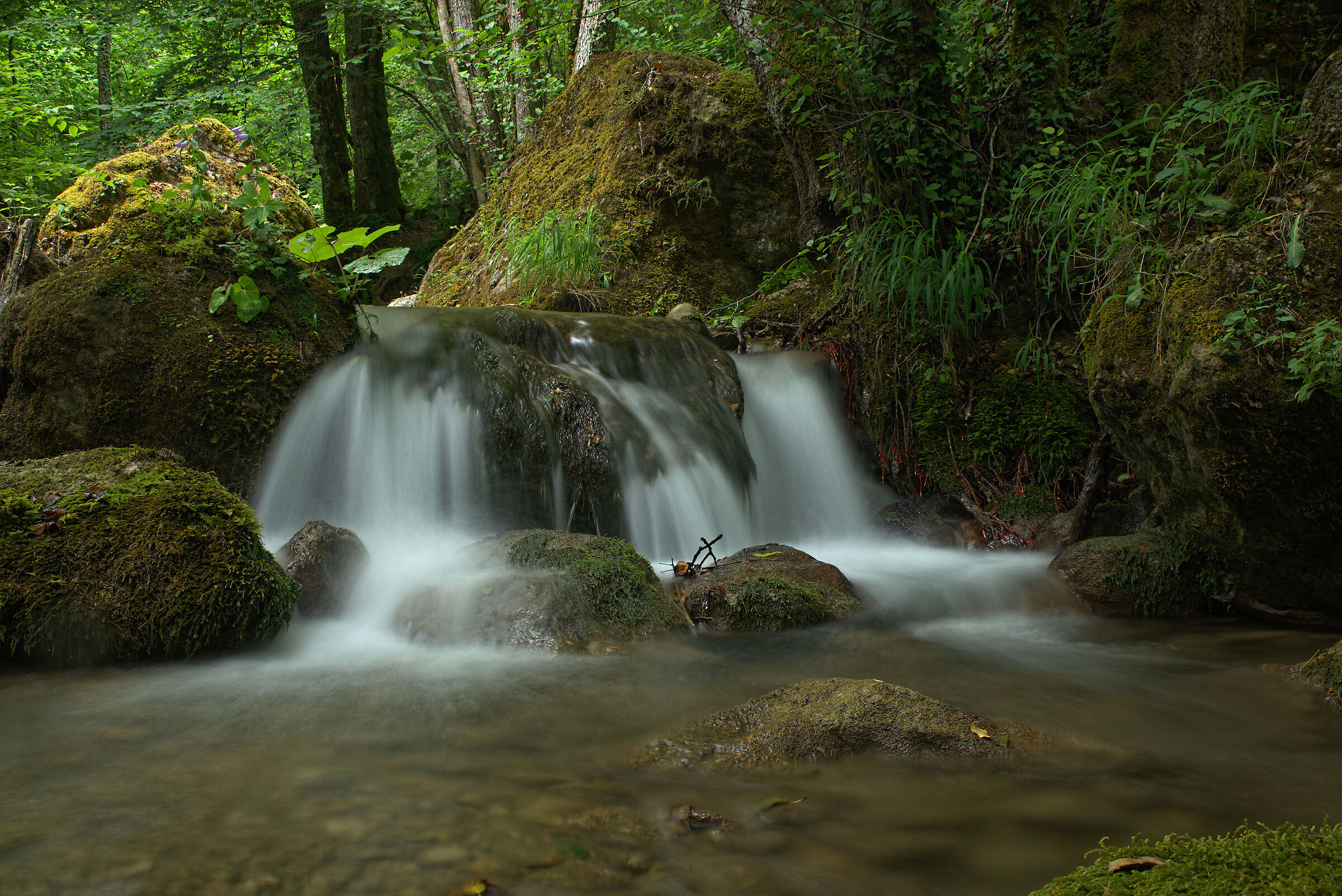 Torrent in Montegallo (Sibillini mountains)