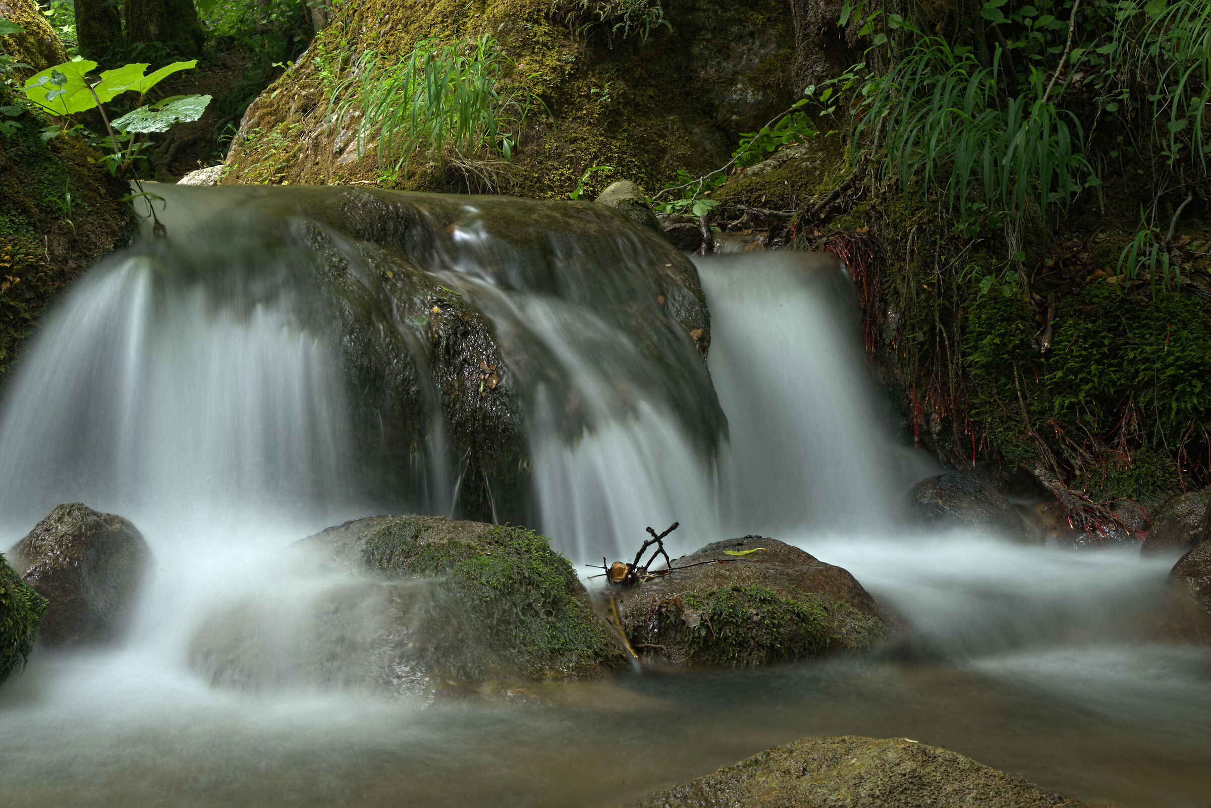Torrente a Montegallo (monti Sibillini)