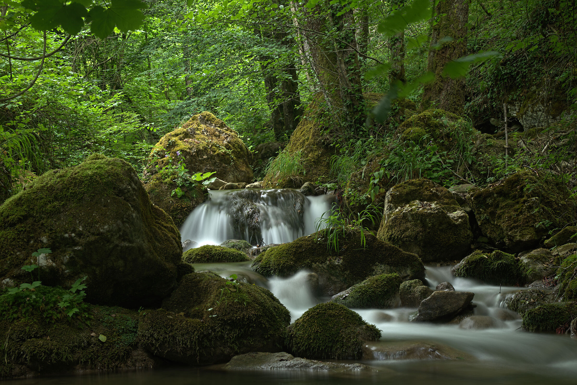 Torrent in Montegallo (Sibillini mountains)