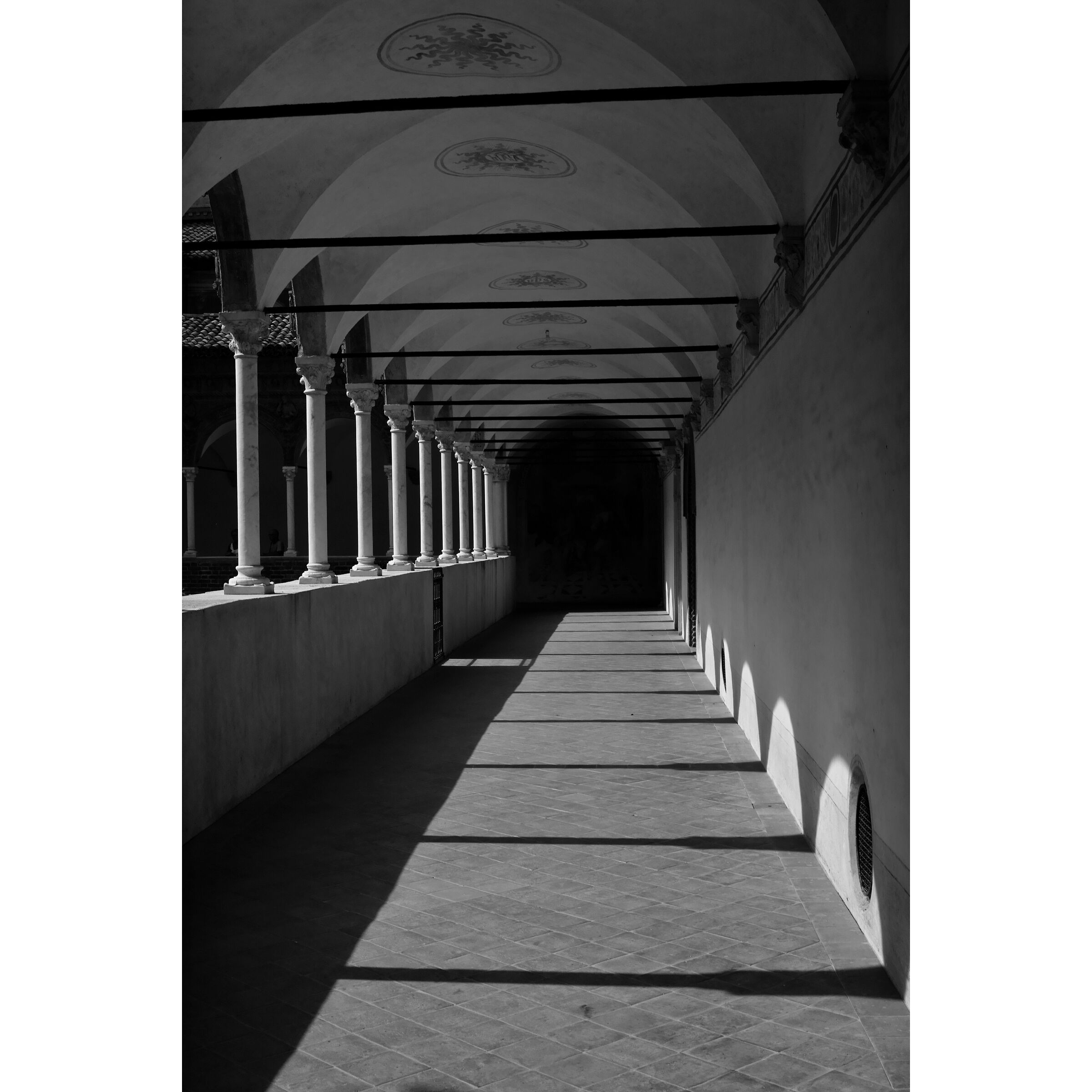 Untitled Photo