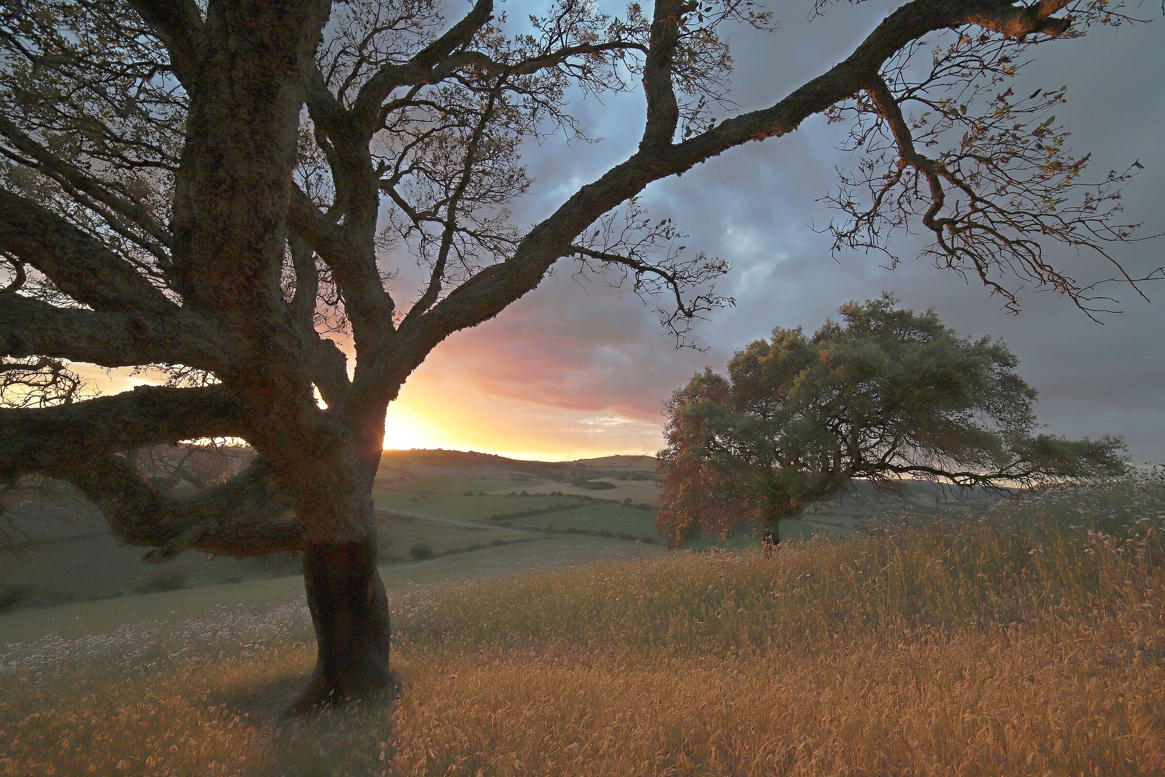 Tomorrow is another day