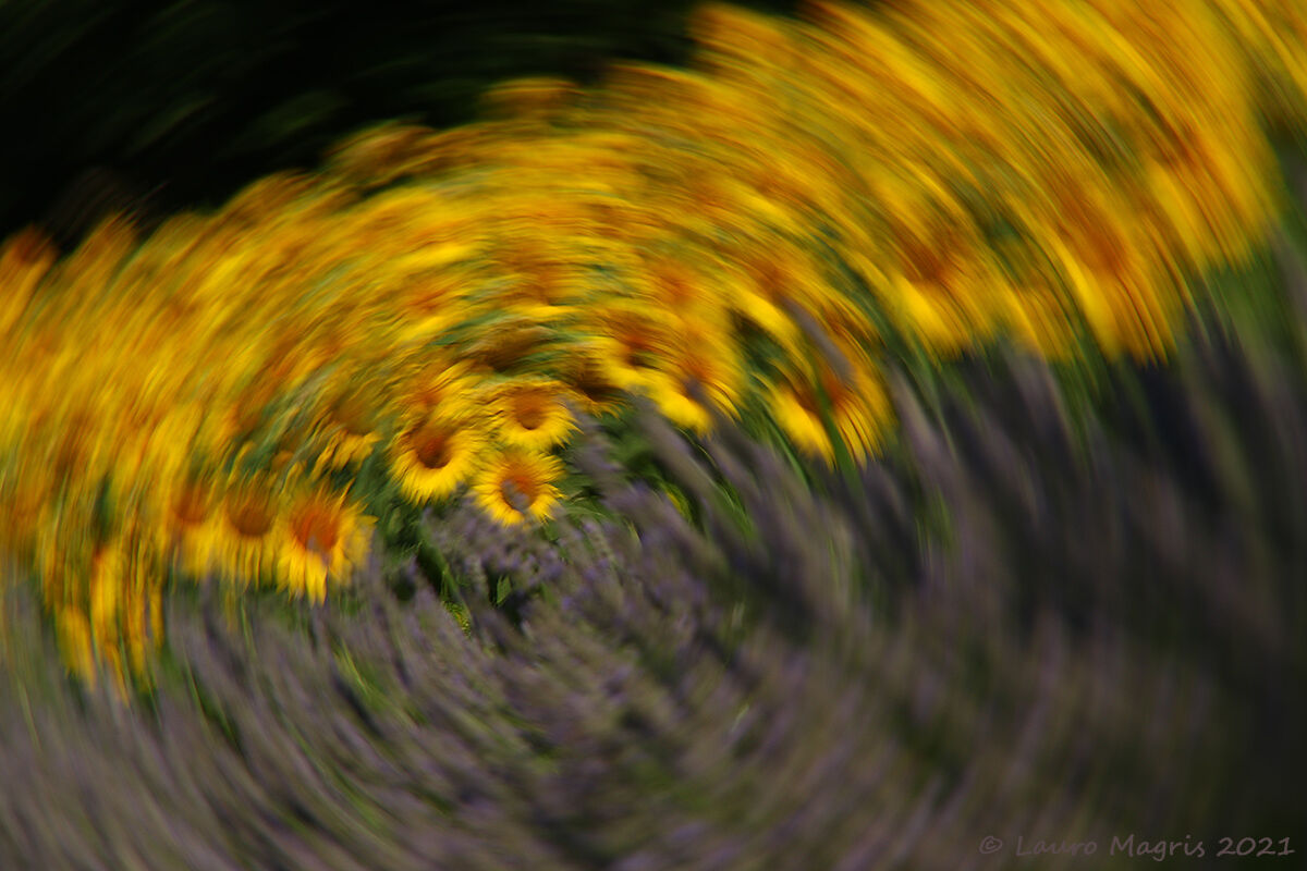 Centrifuga di colori estivi