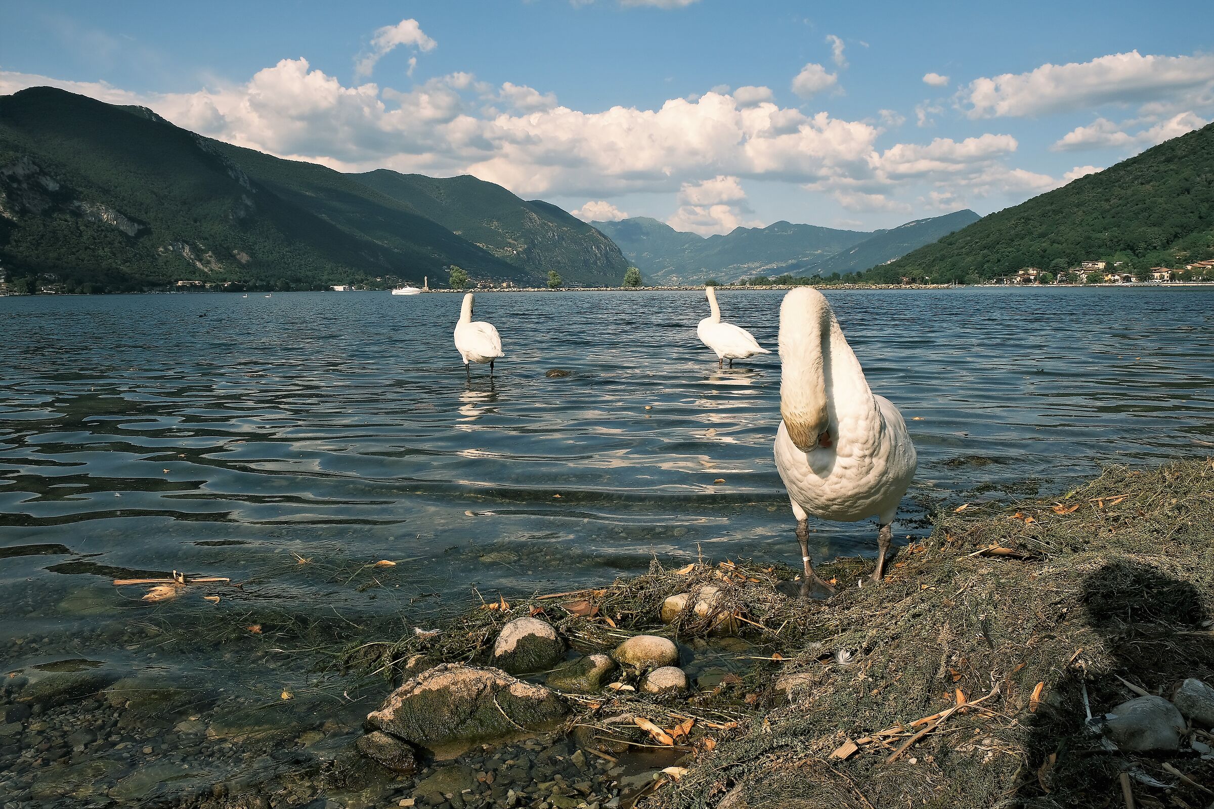 Lake Iseo from Paratico