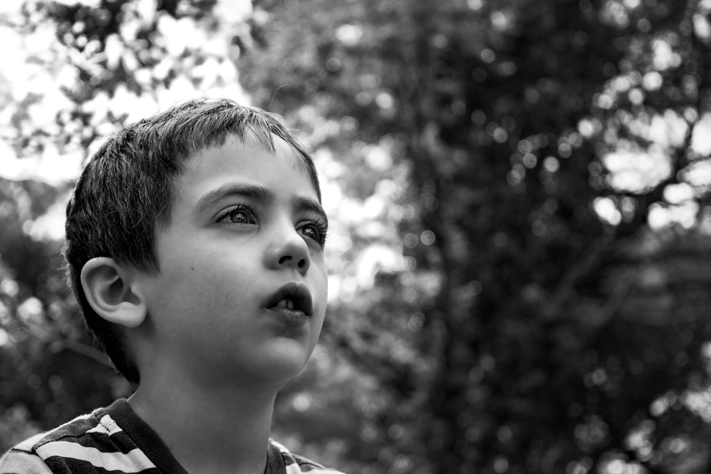 Cervia Zoo Park with Grandson