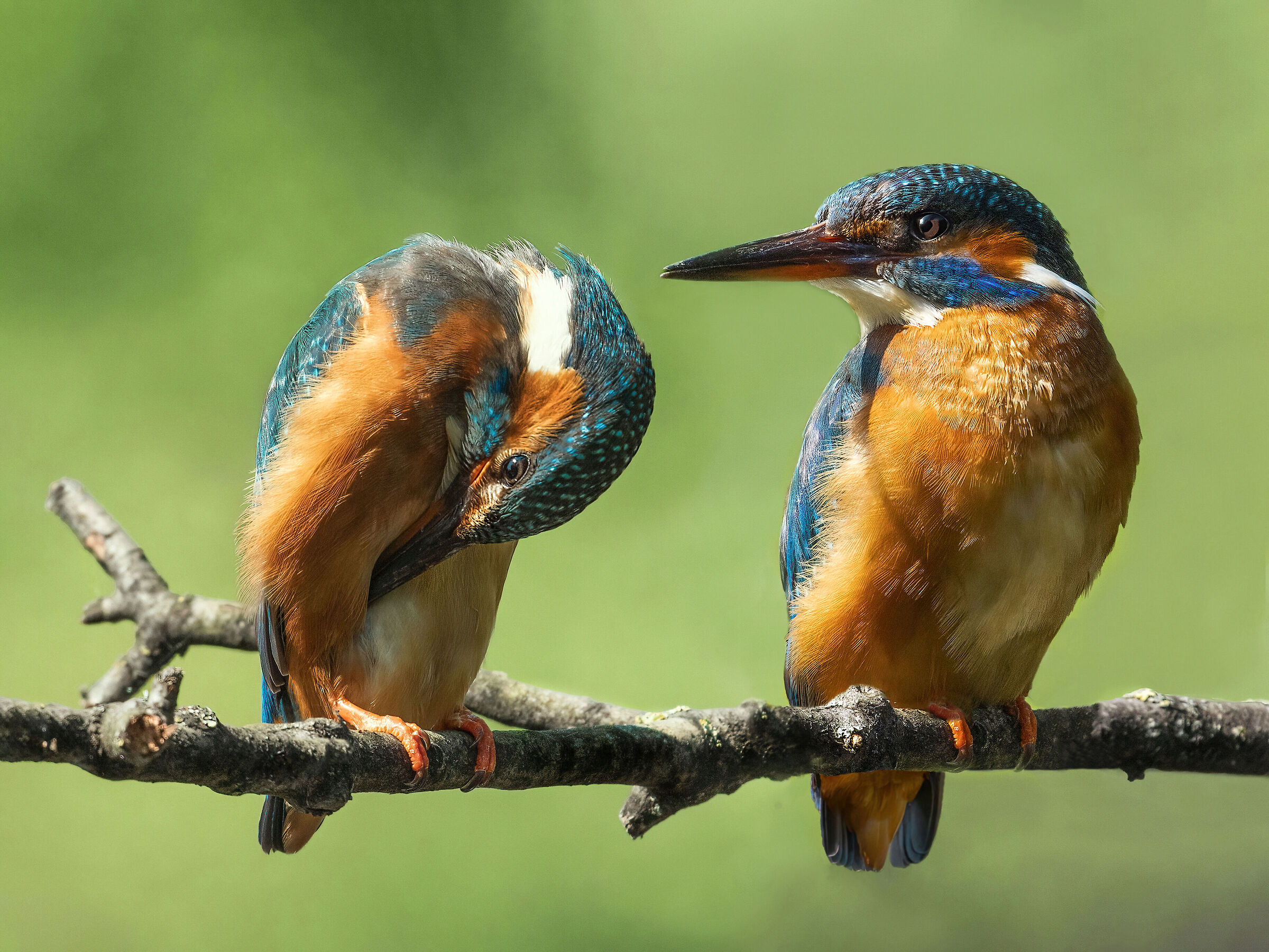 All'ombra dell'ultimo sole...