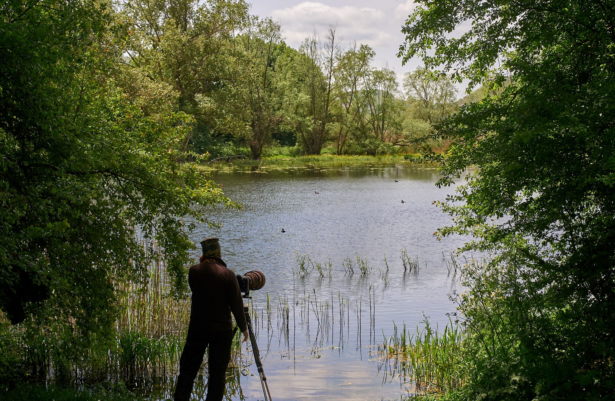 Chissà se è iscritto a Juza!?