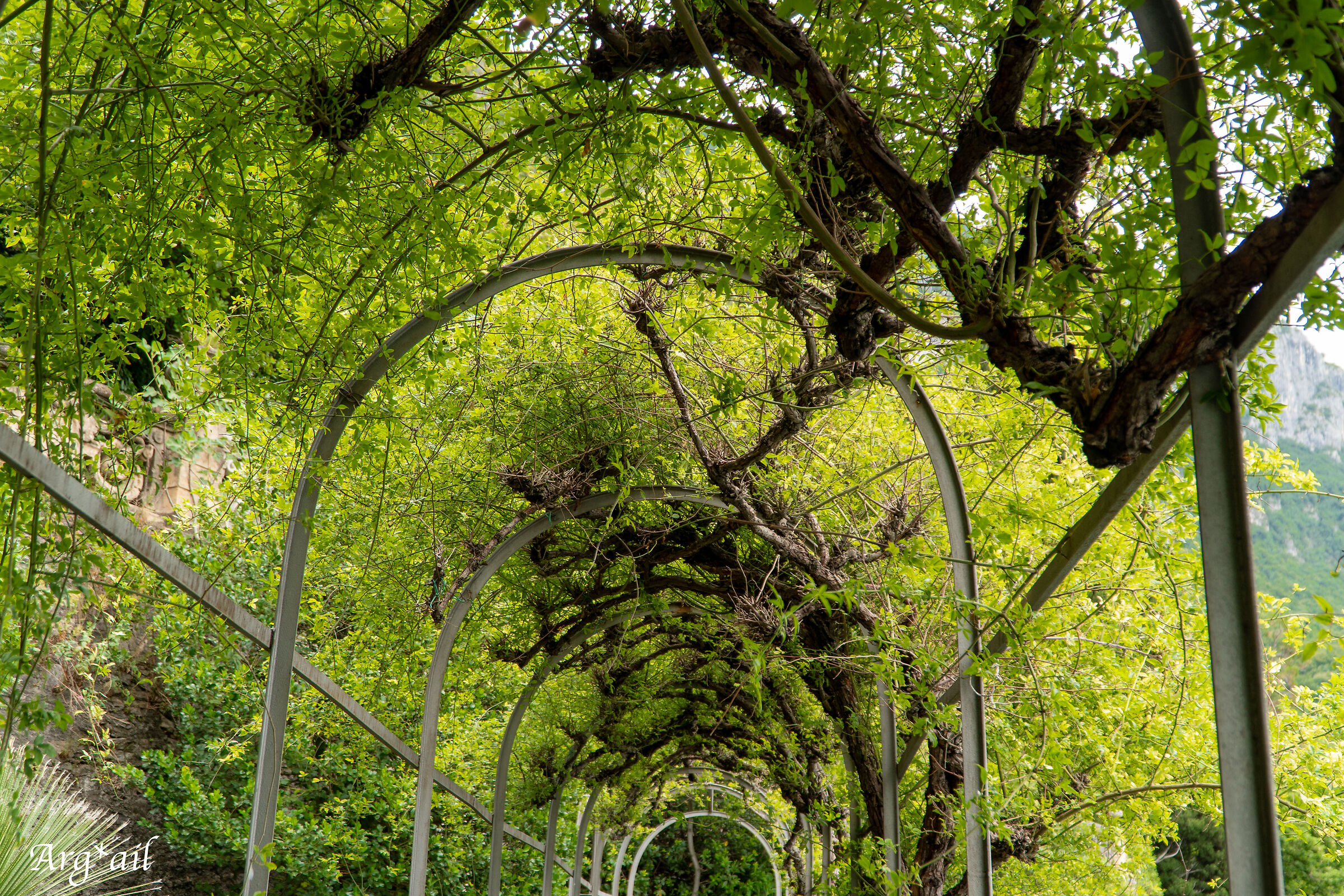 Botanical Garden Villa dei Monasteri