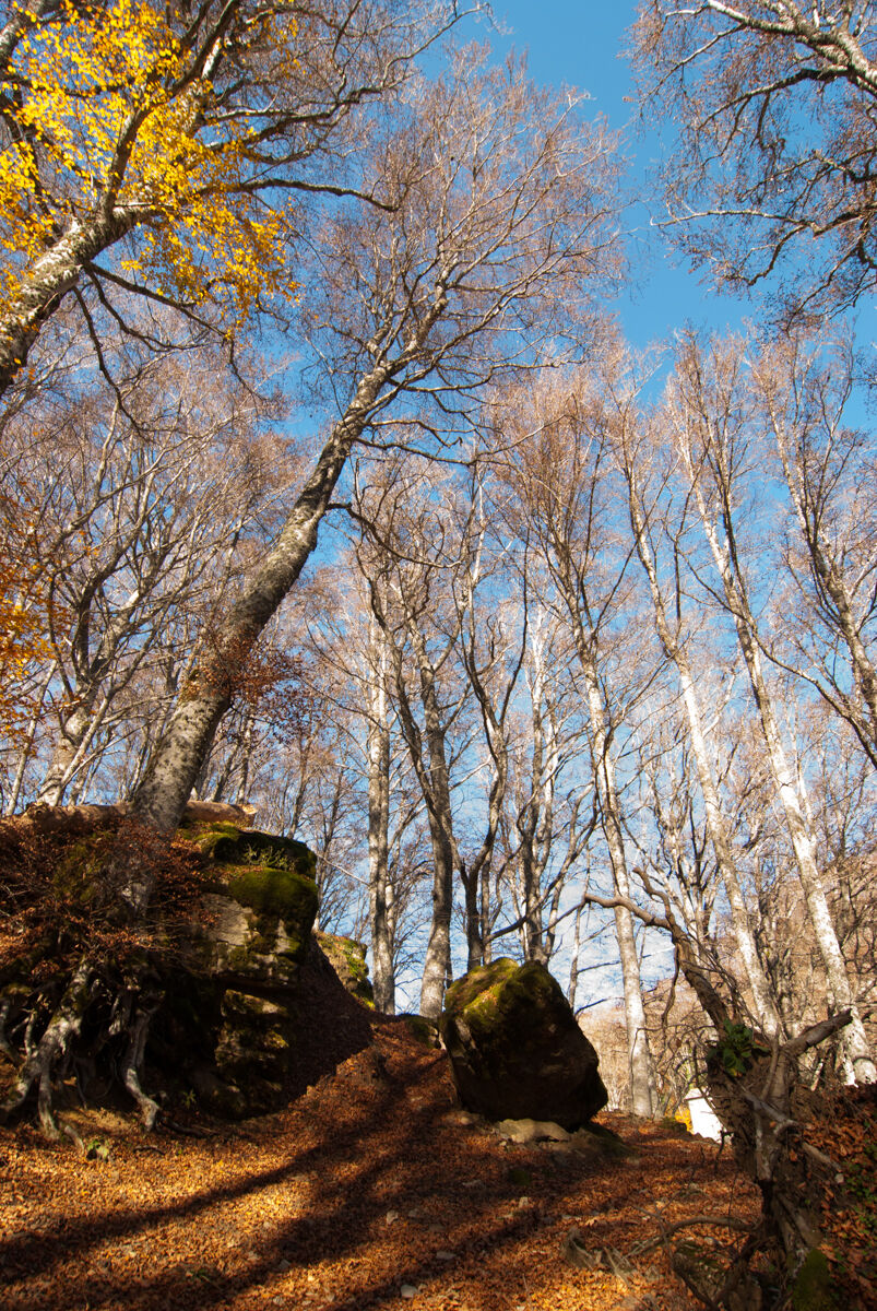 svettano verso l'alto