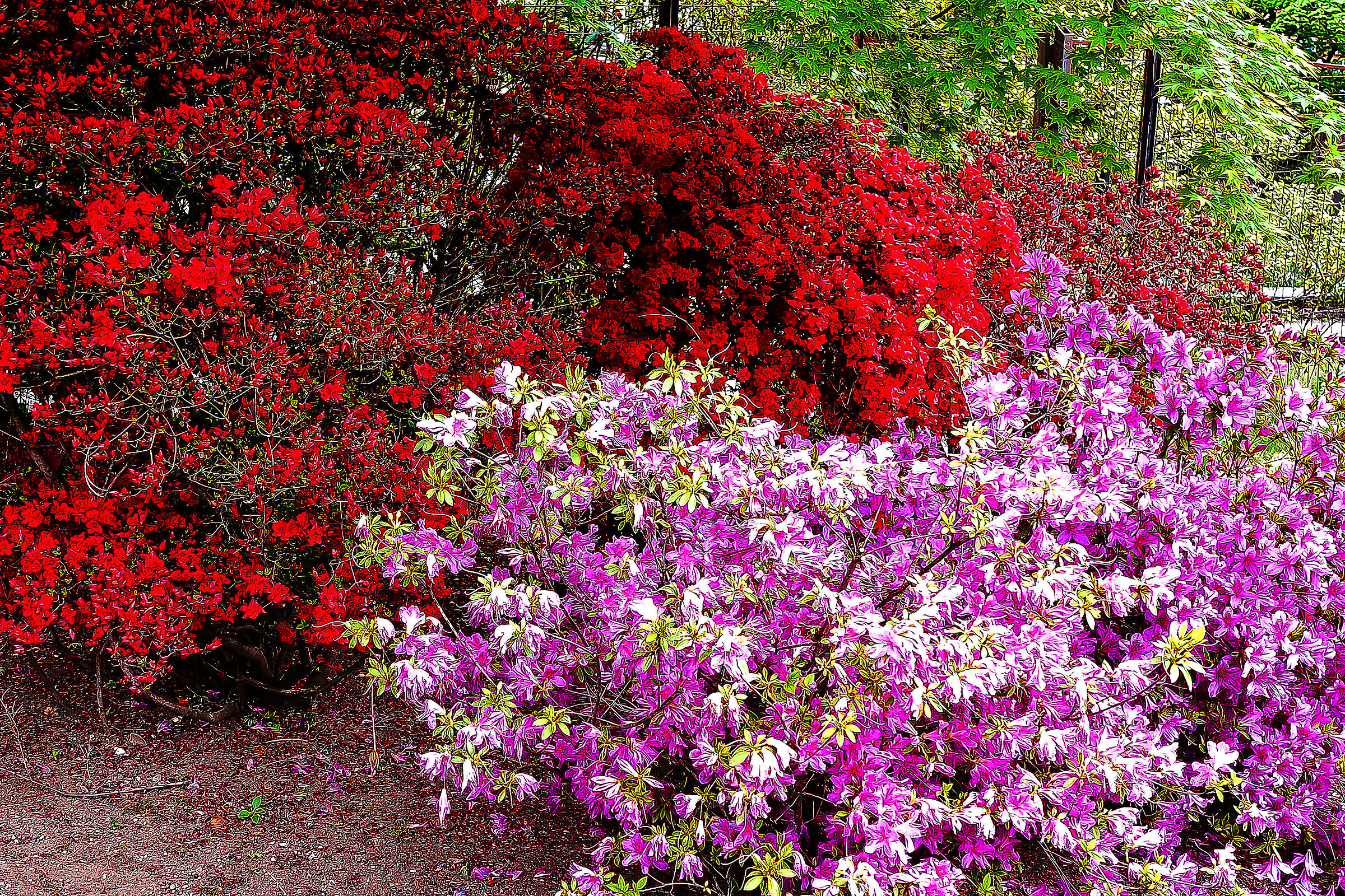 color