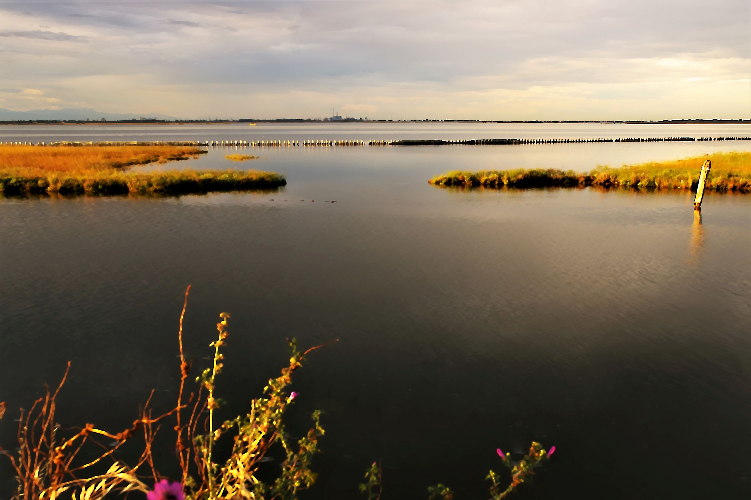 Jars of Mira lagoon south