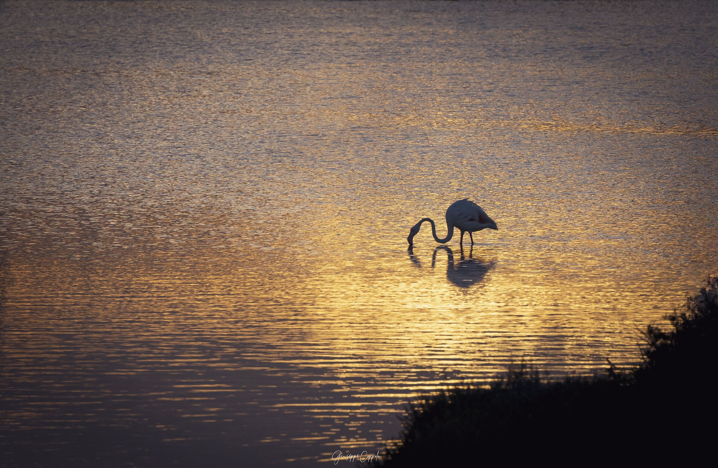 La quiete del tramonto...