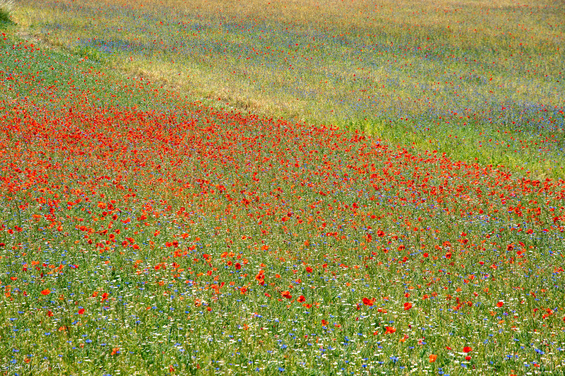 ...Csstelluccio...come un dipinto di Monet