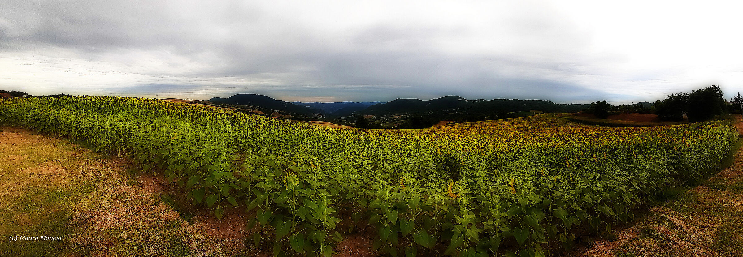 Towards Monte Pastore
