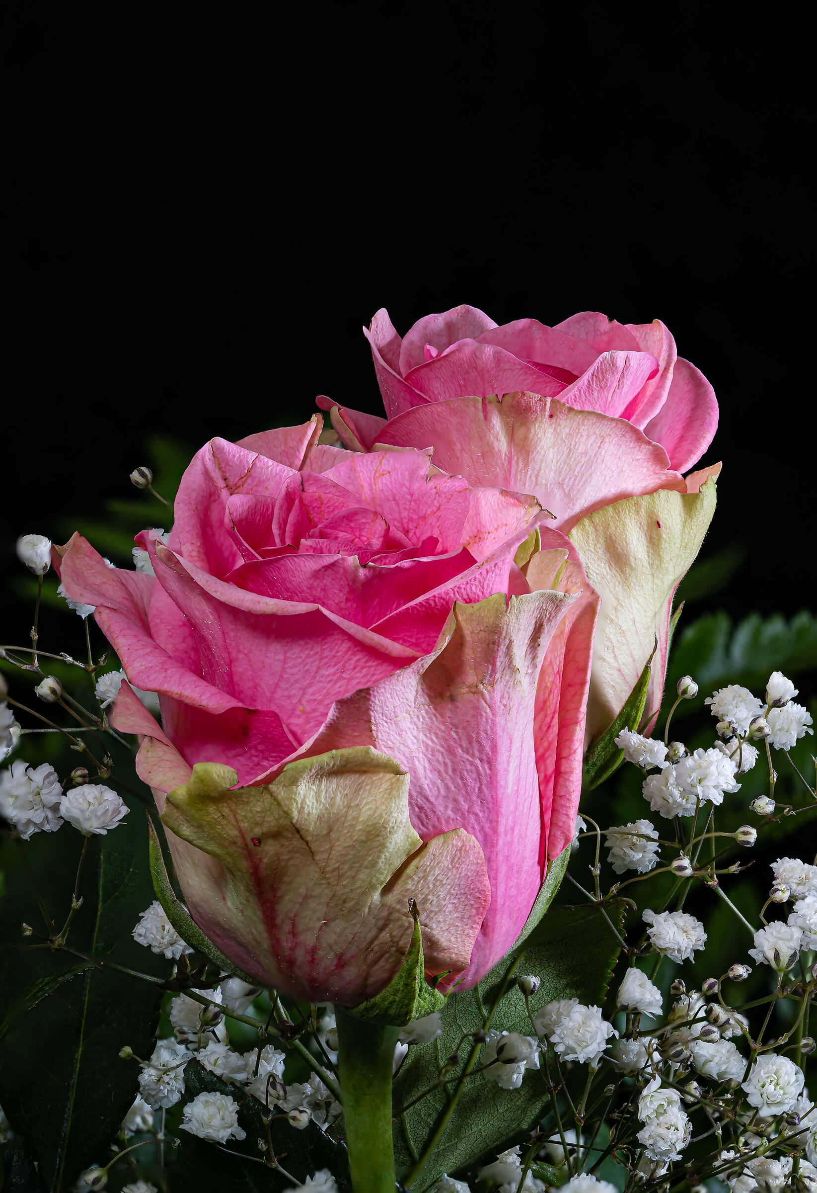 Flowers in the studio