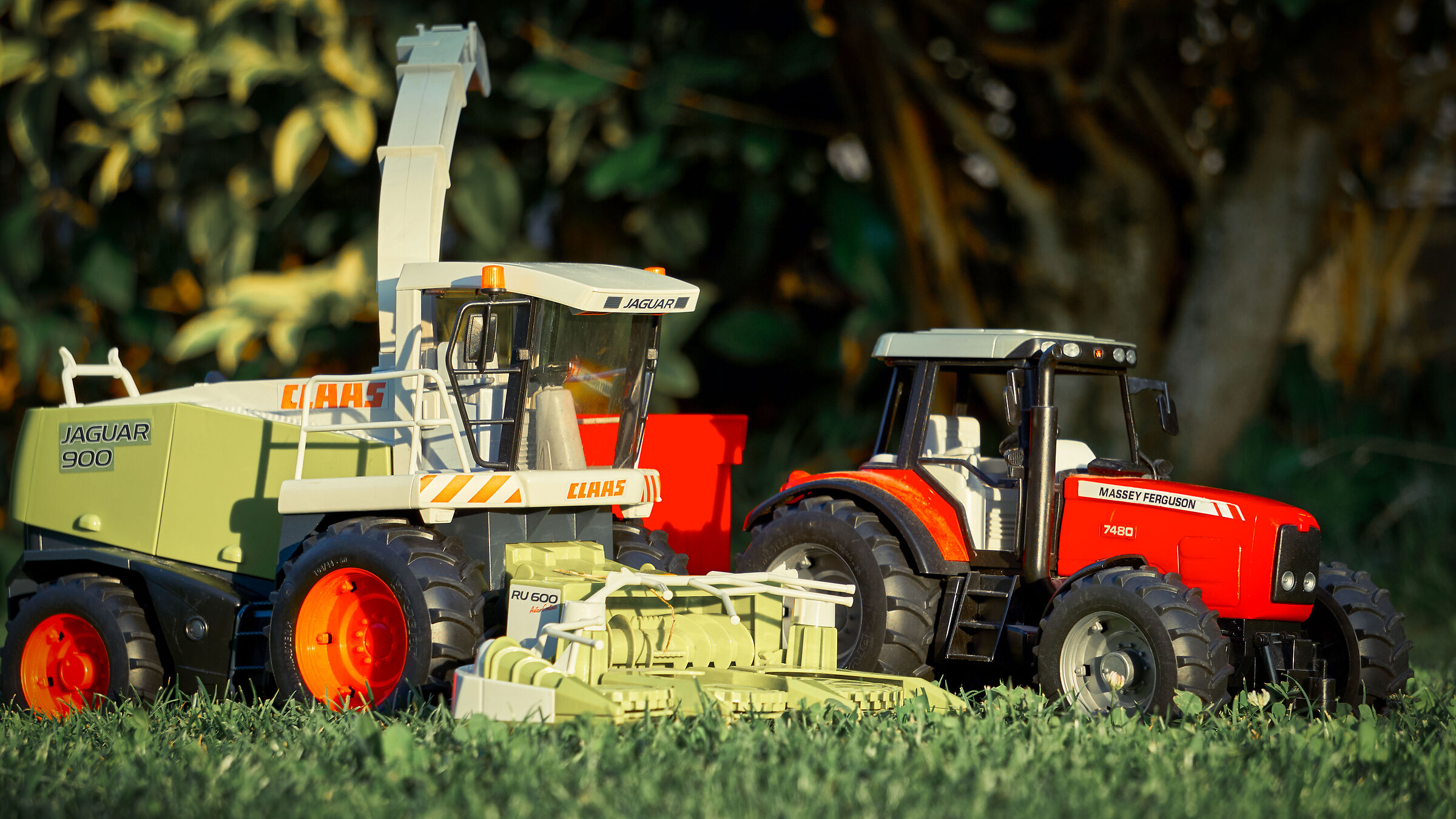 Il duro lavoro nei campi