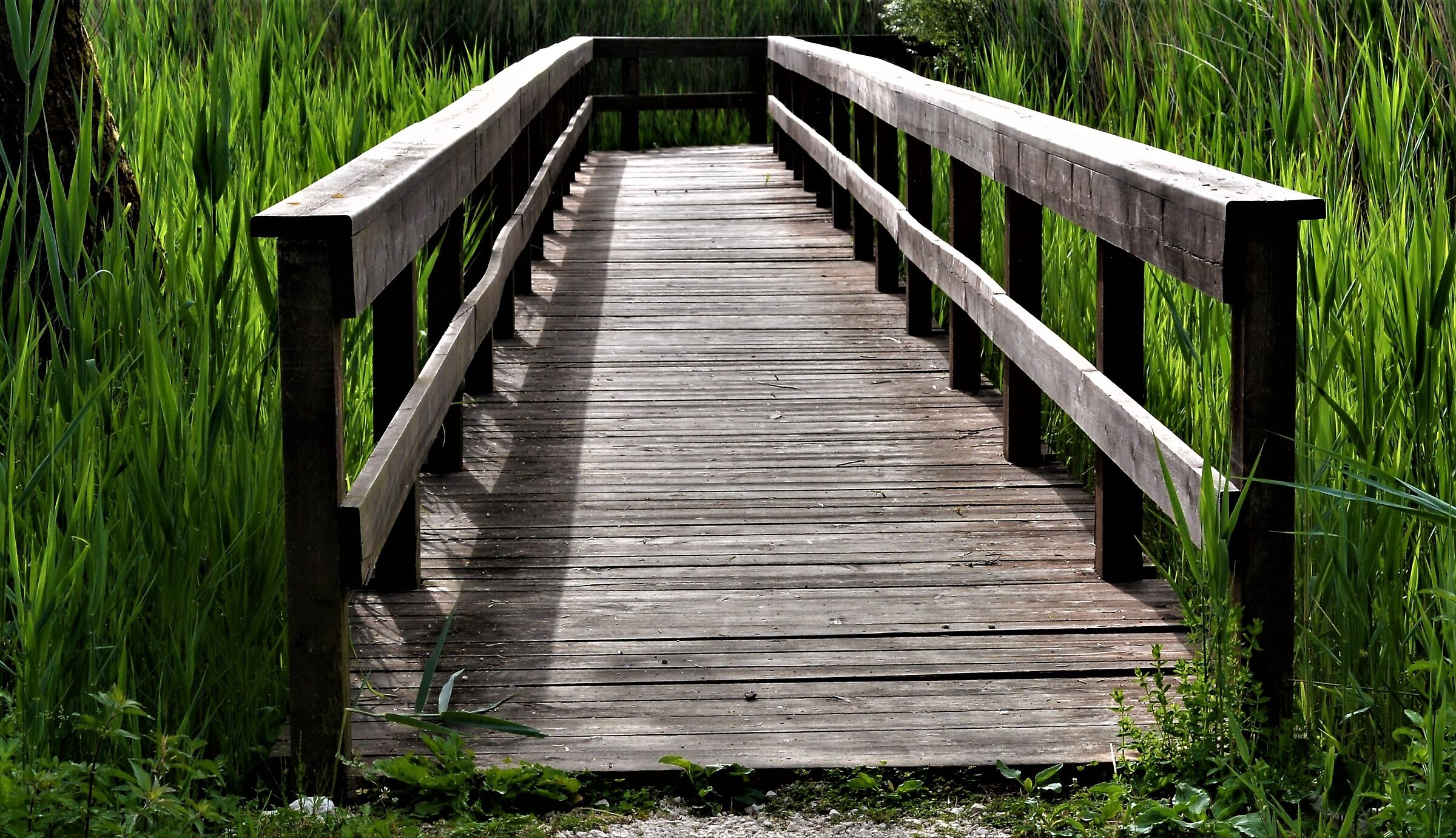 Passaggio sul lago di Fibreno.