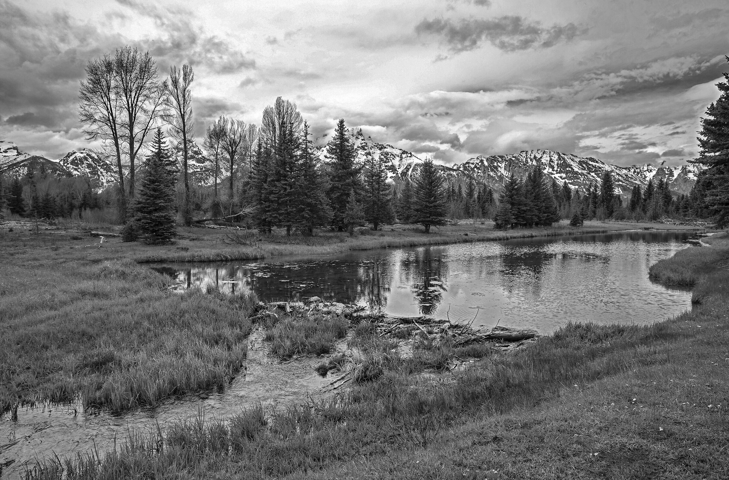 Landscape of Montana