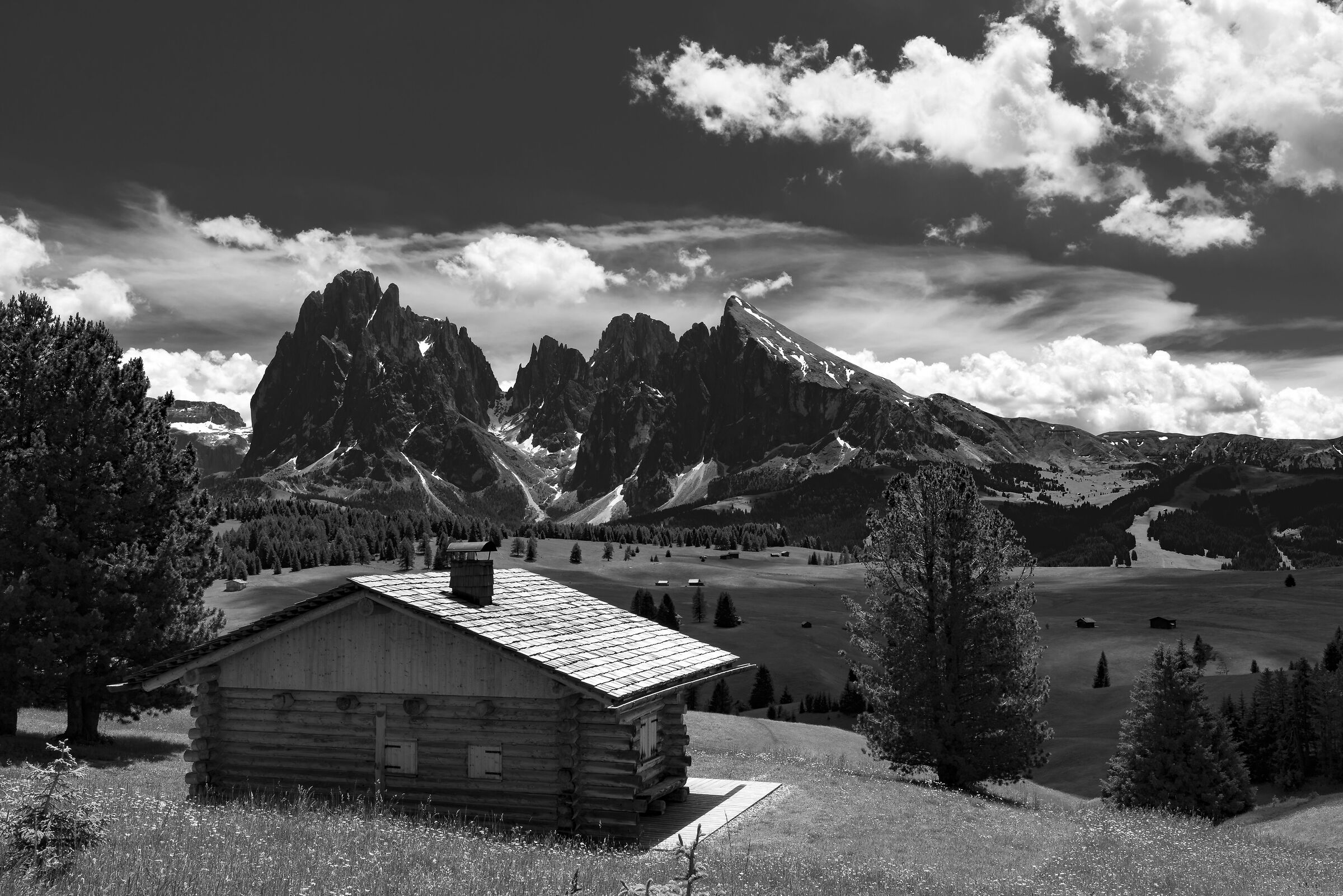 Alpe di Siusi B&W
