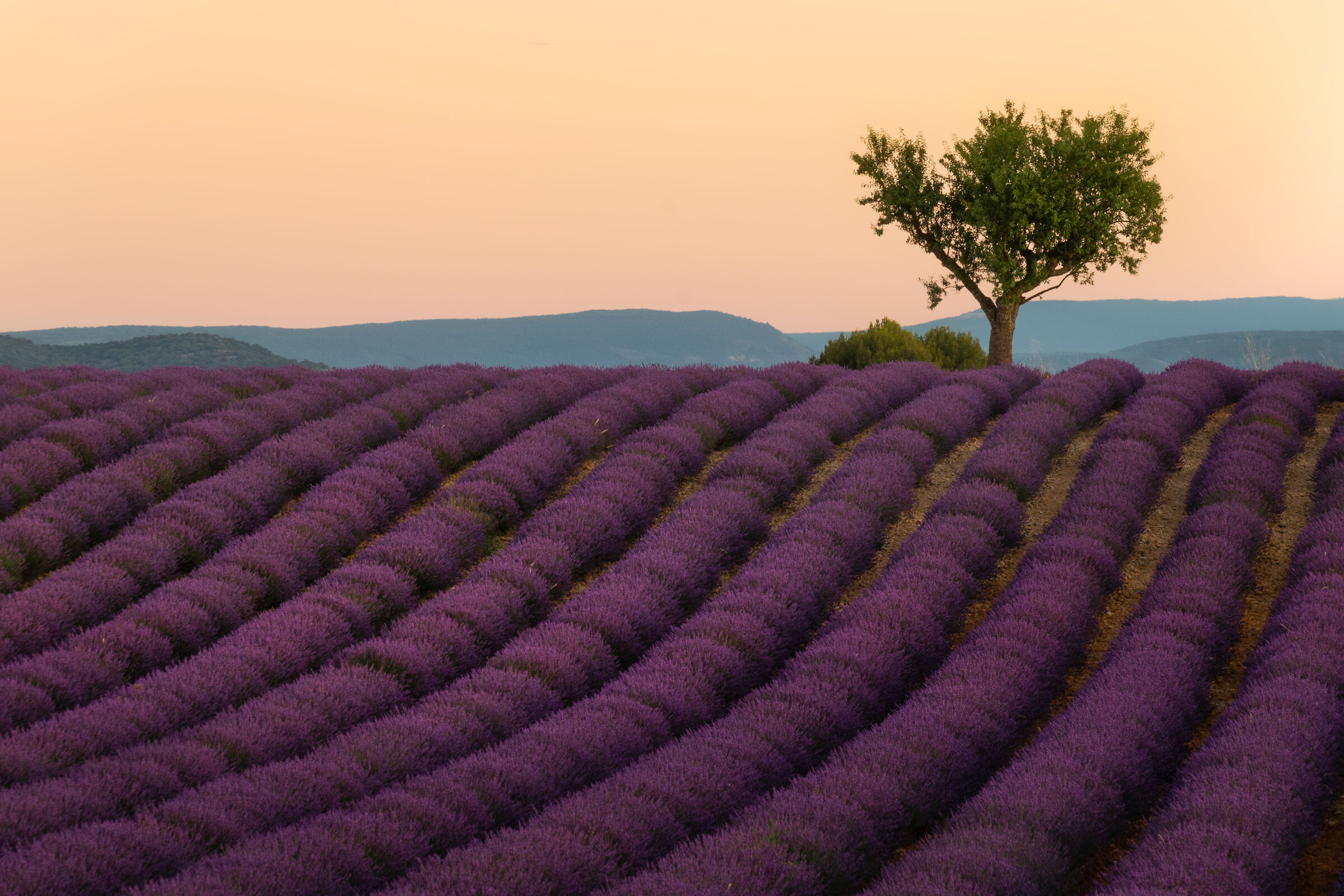 sunrise and the olours of the rainbow