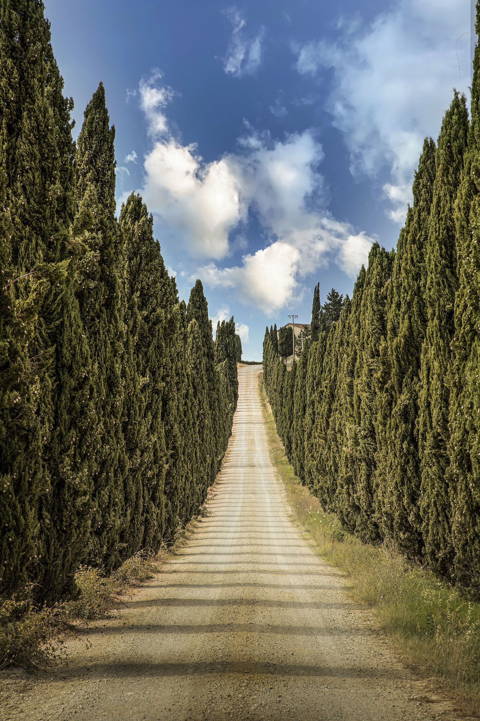 Dispersi nella natura toscana