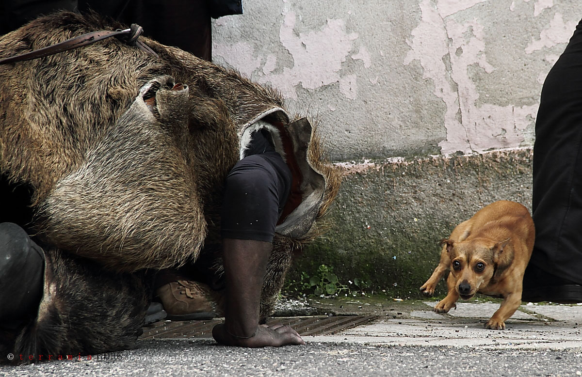 Who is most afraid of? ....