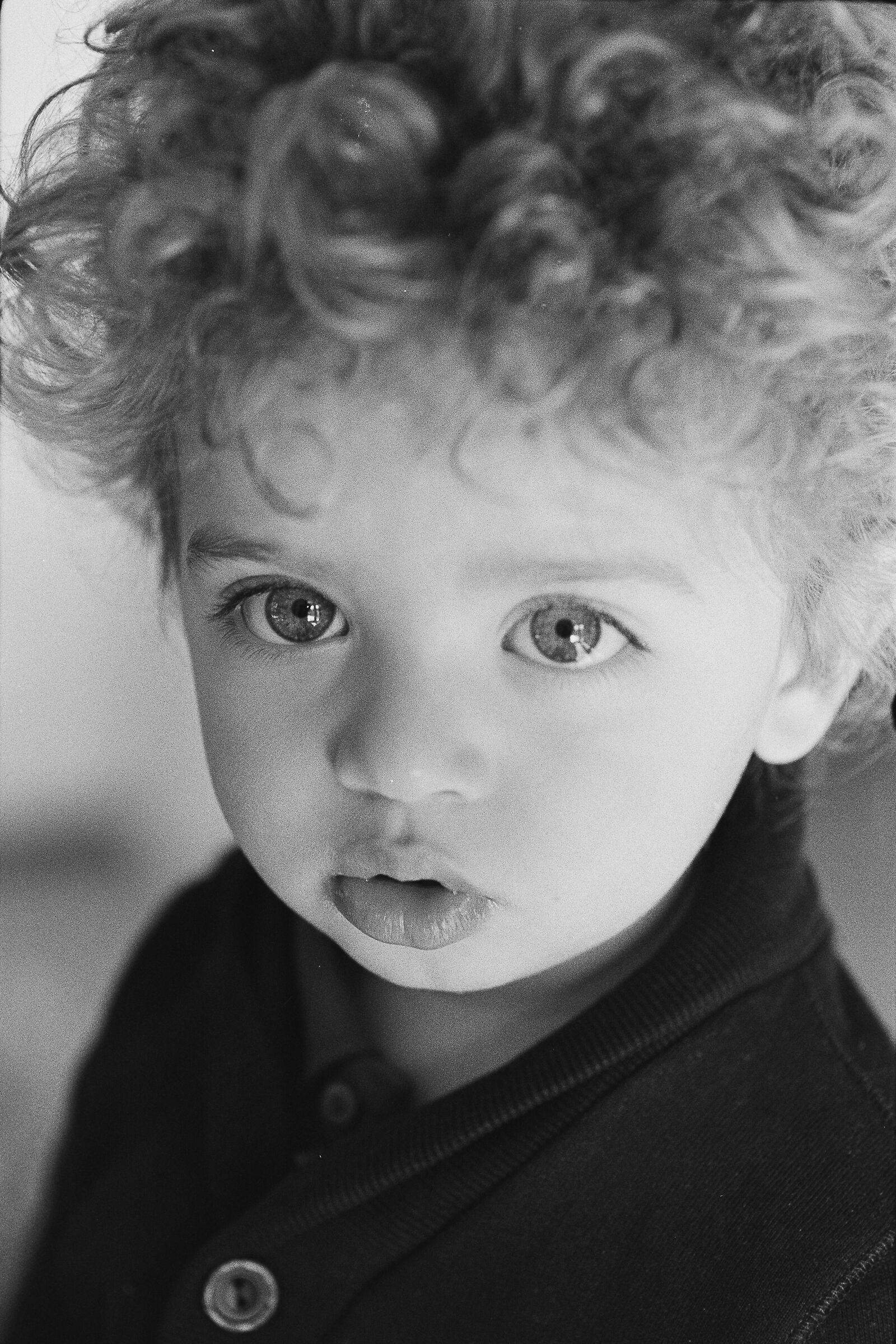 Pentax Spotmatic F, Tamron Adaptall 90mm 2,5 macro,HP5+