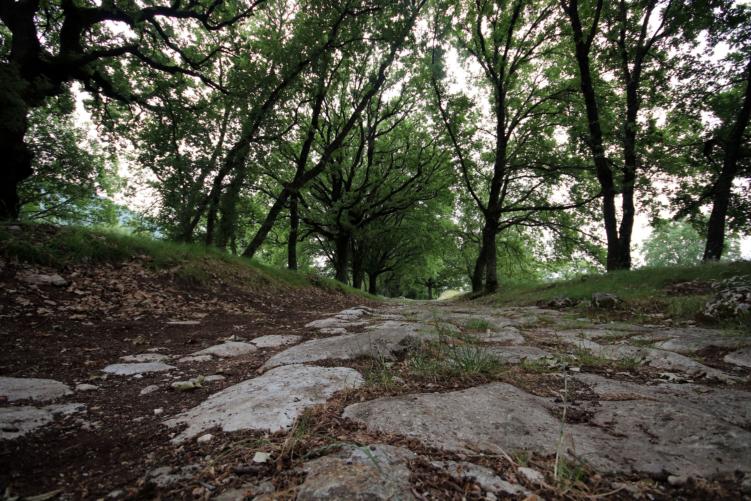 Carsulae antica città di epoca romana