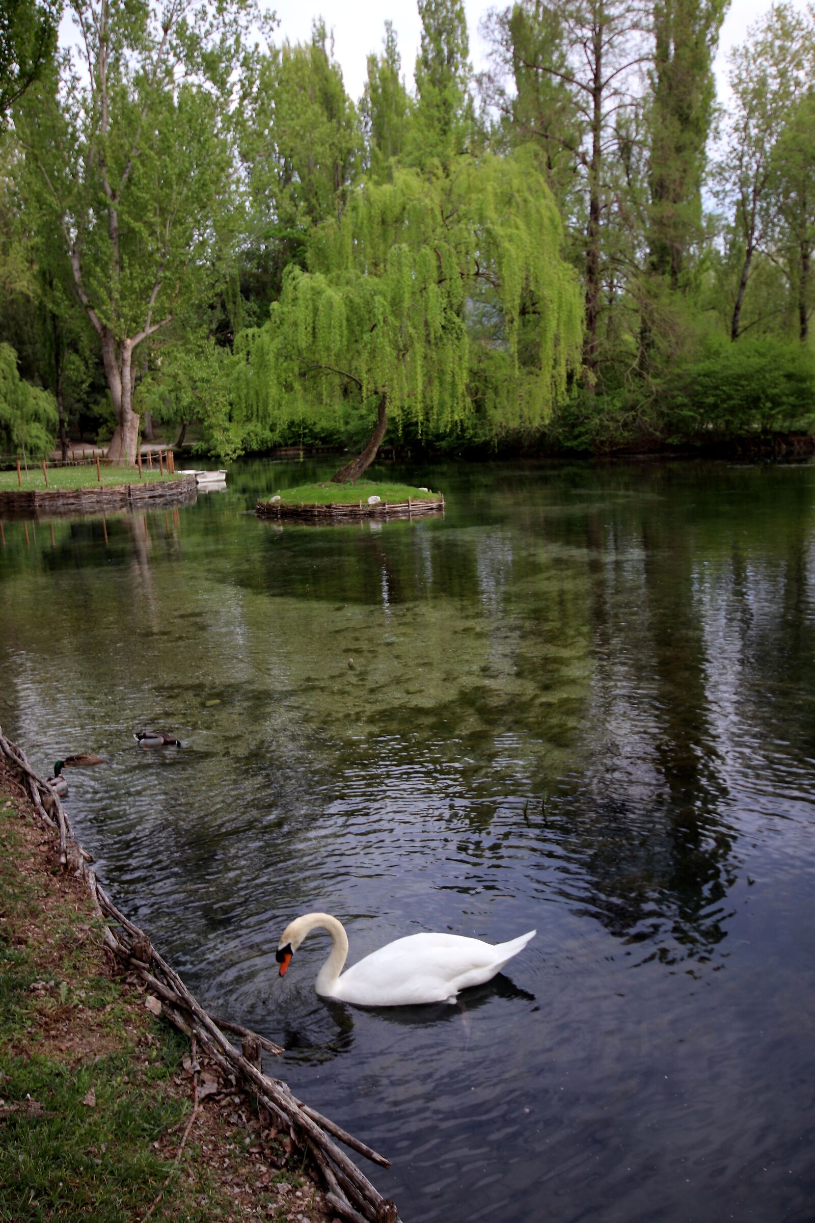 Fonti del Clitunno in Umbria