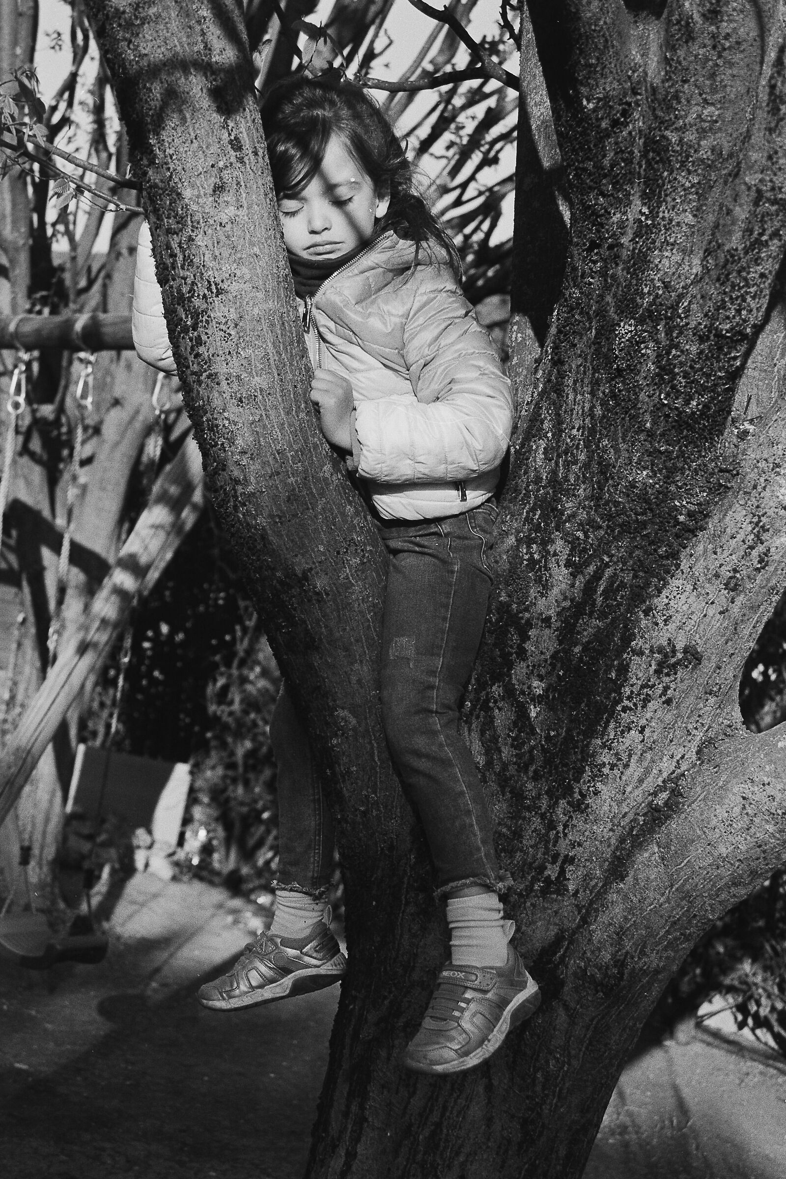 Canon FTb, Canon FD 35-105, ilford HP5+