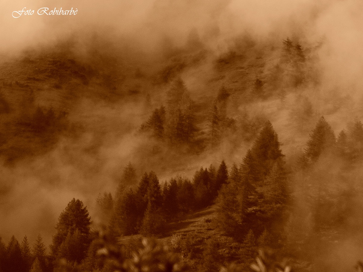 La natura si dipinge....