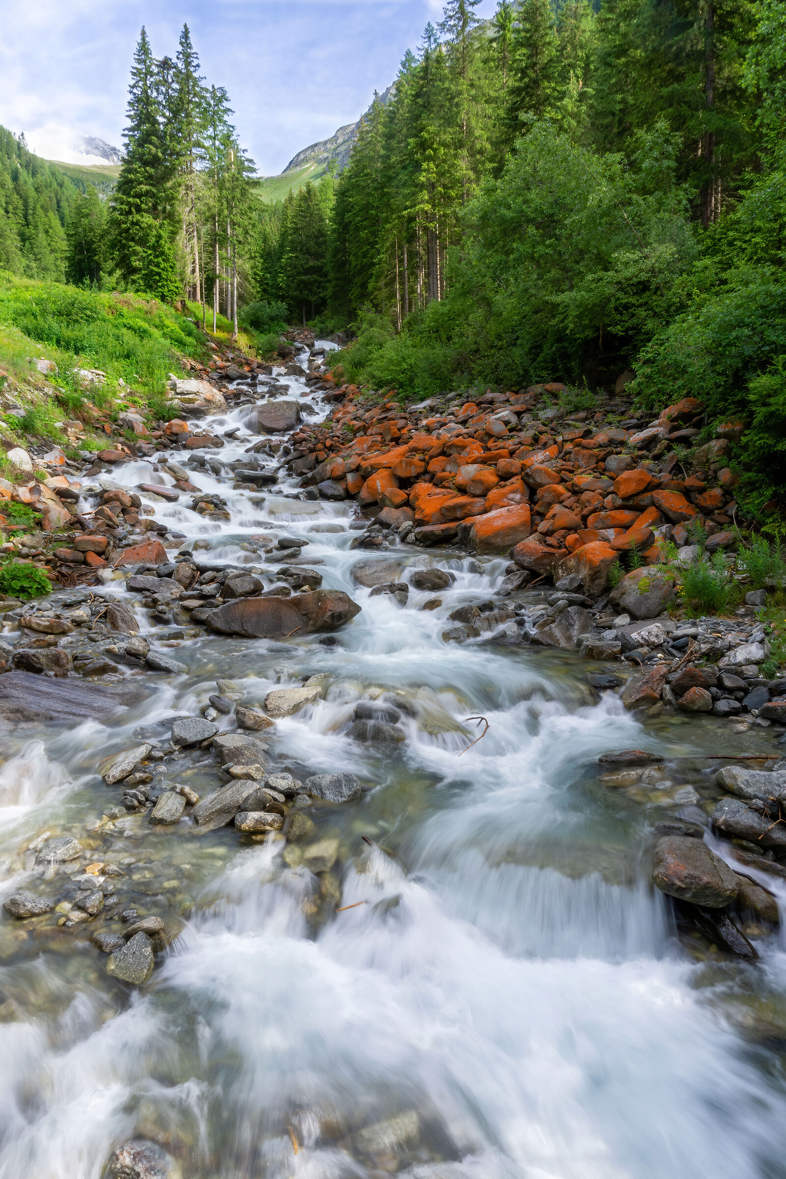 Torrente Weißenbach - Luglio 2021