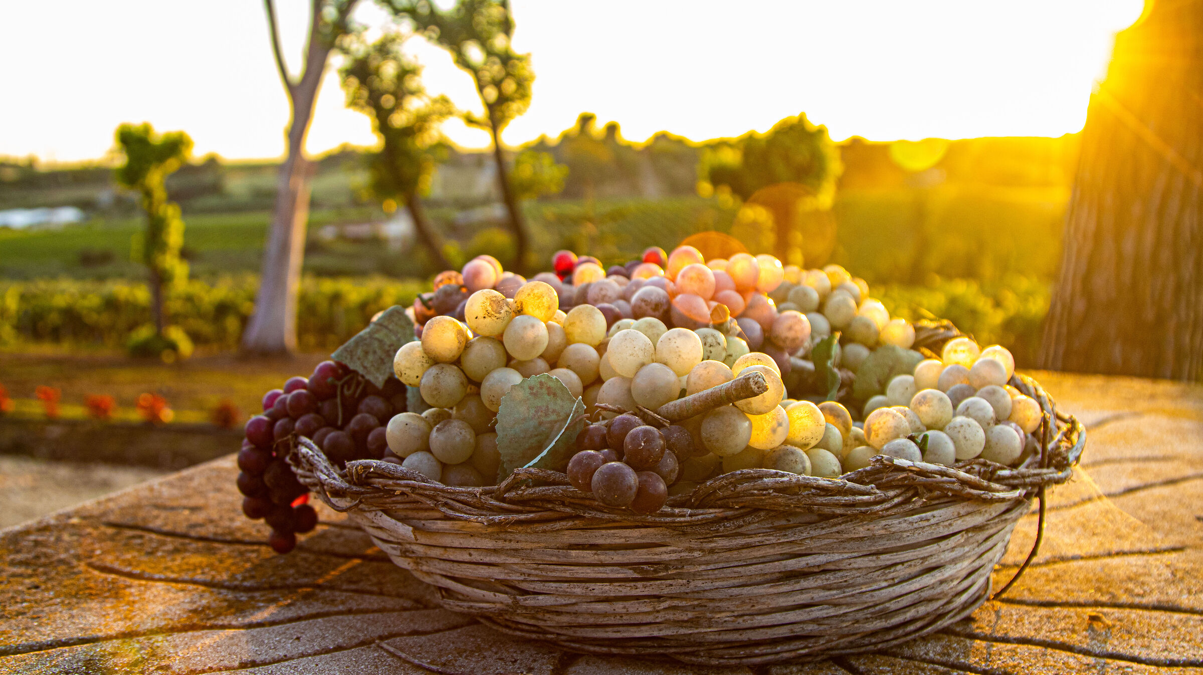 Ideas are like grapes: they grow in clusters.