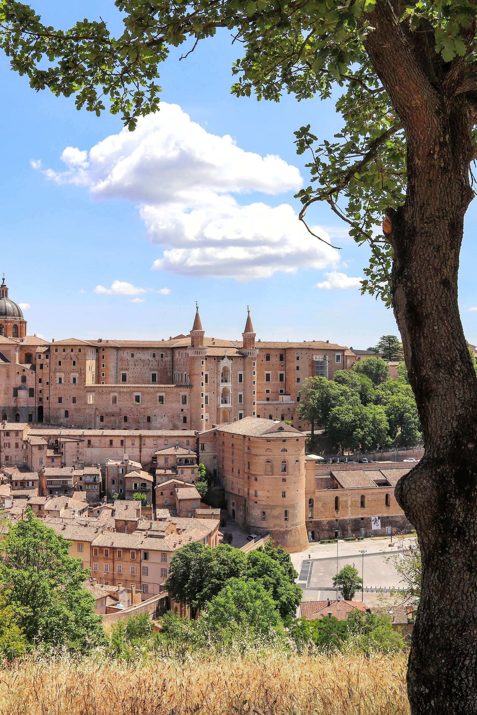 La bellezza dei dettagli