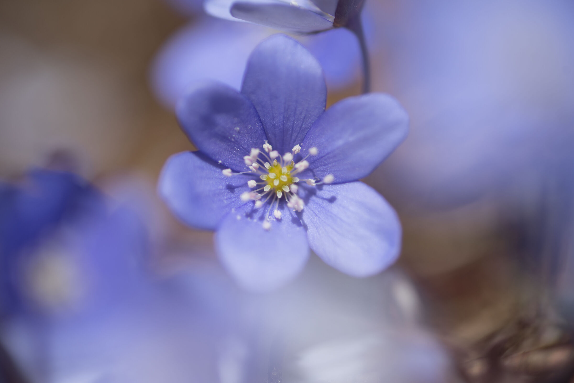 Untitled Photo