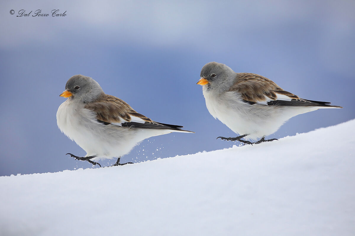 In step with the times