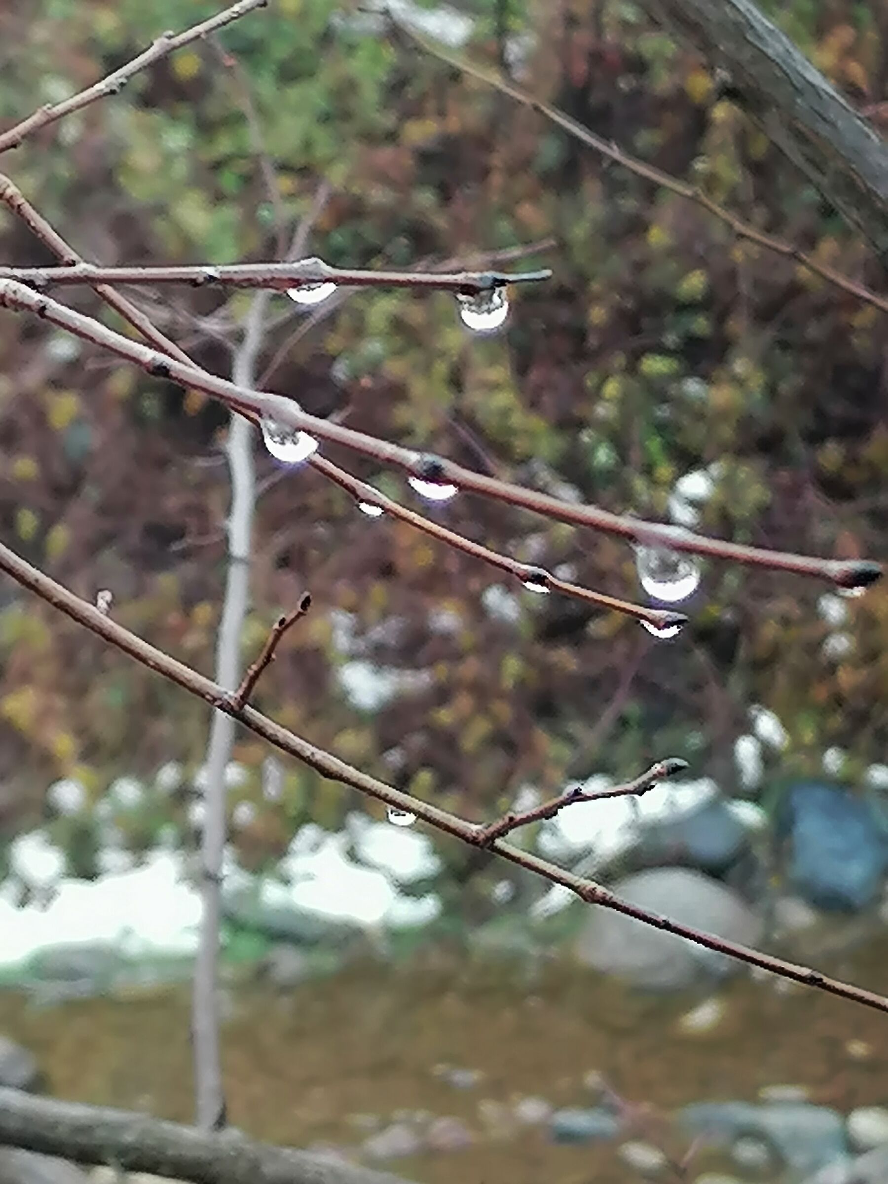 Hanging drops
