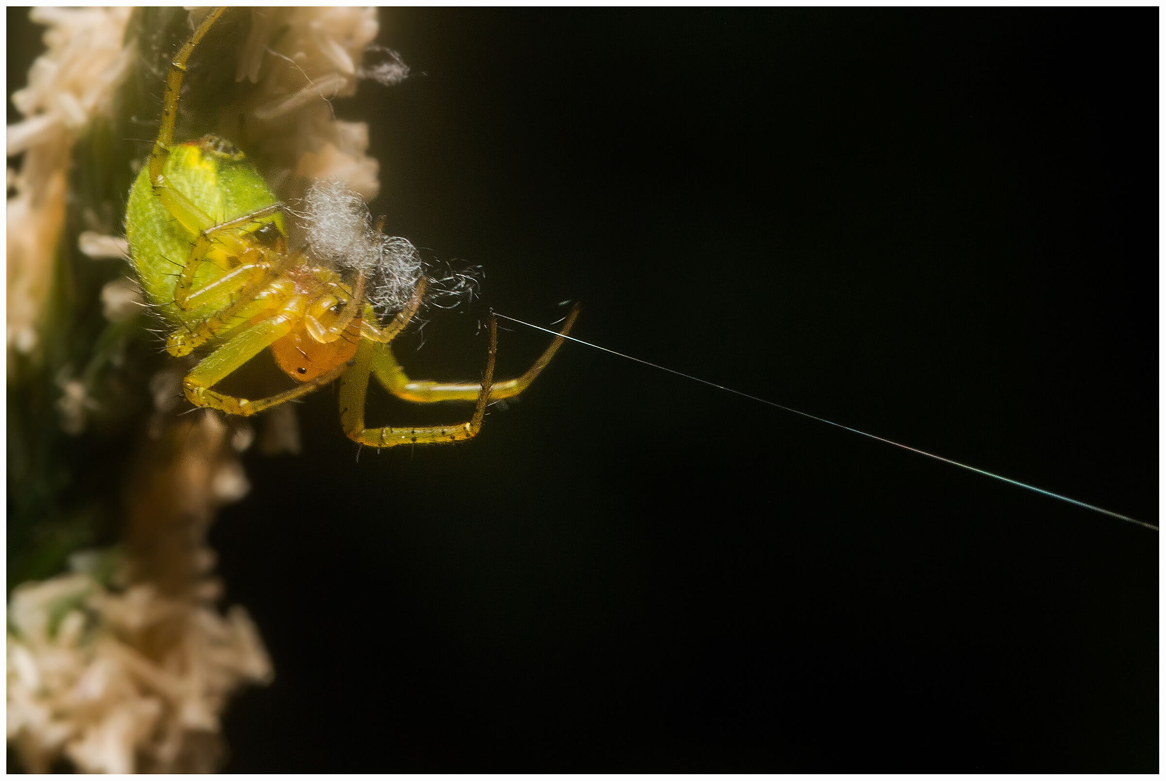 The net is being prepared