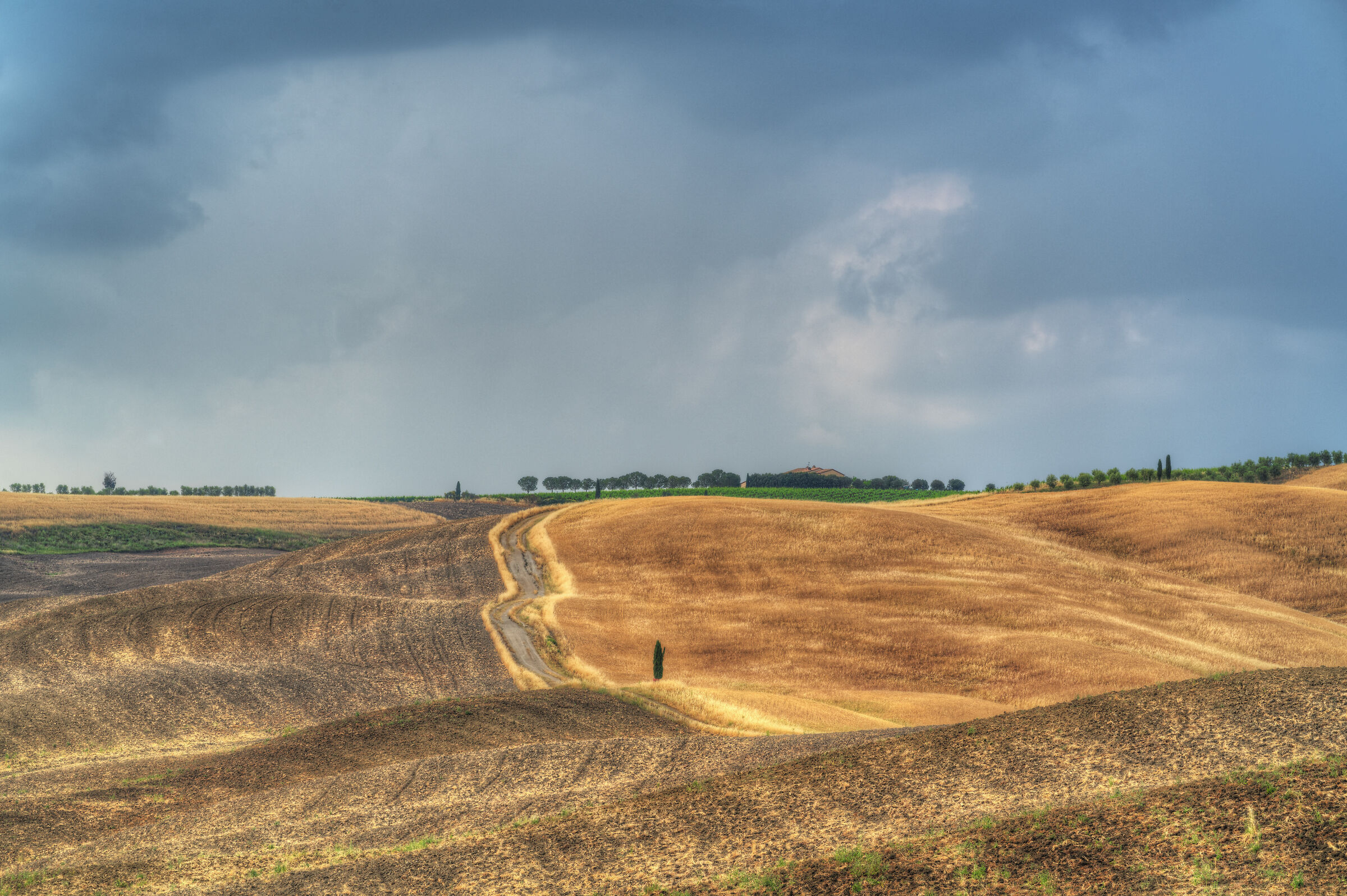 Shades after rain