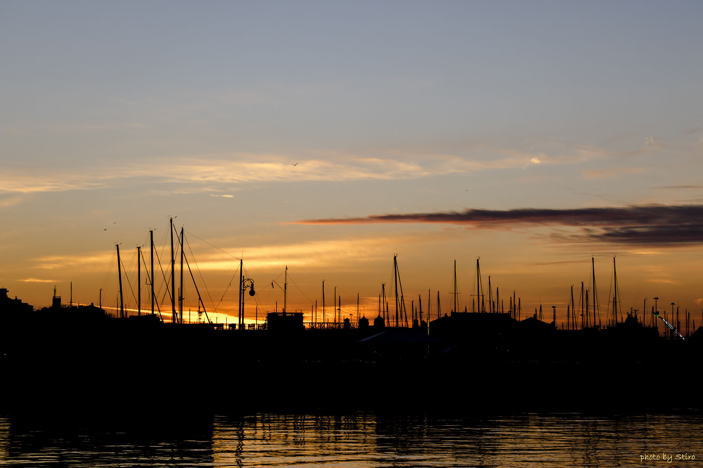 Silhouettes