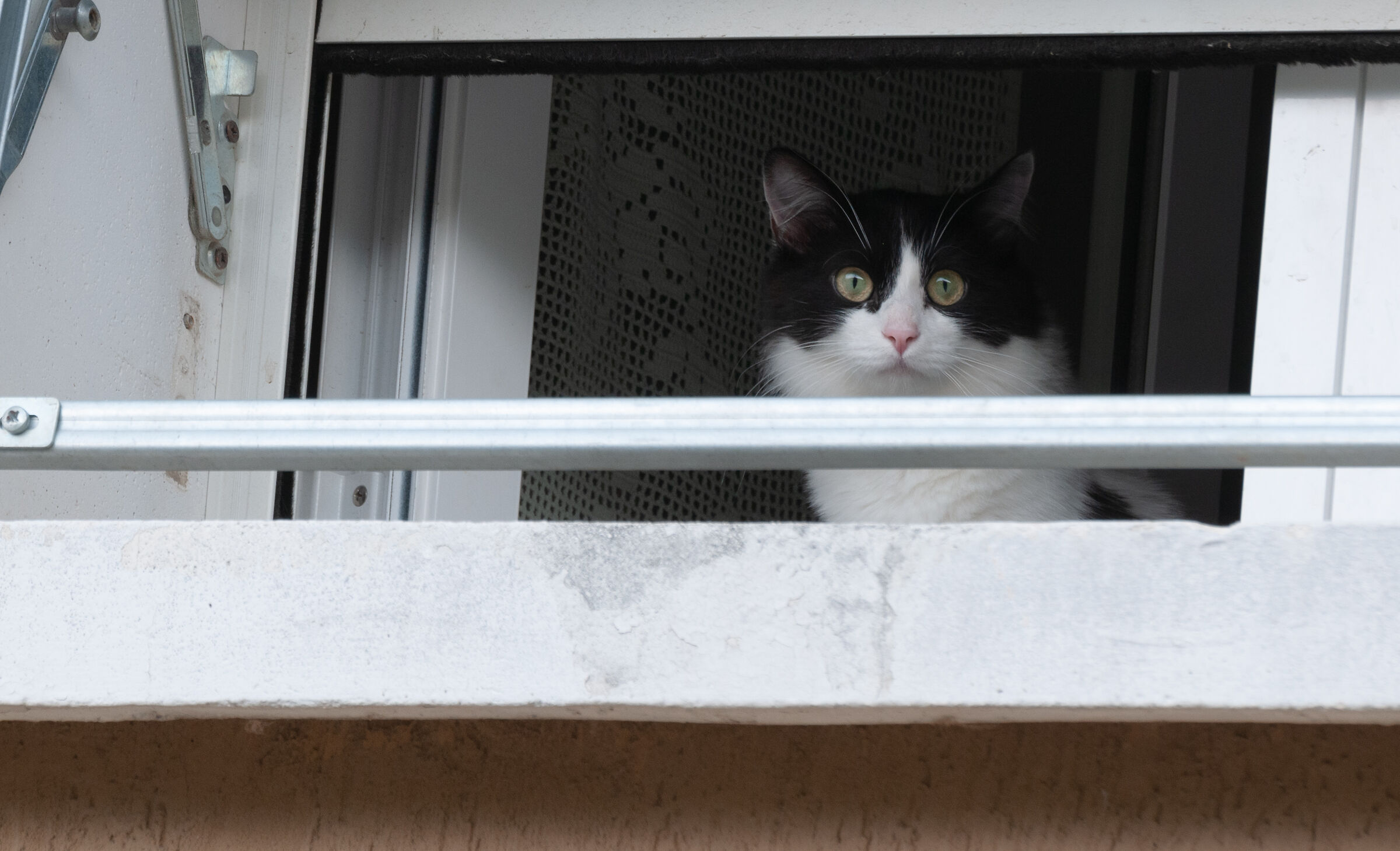 Tutto sottocontrollo